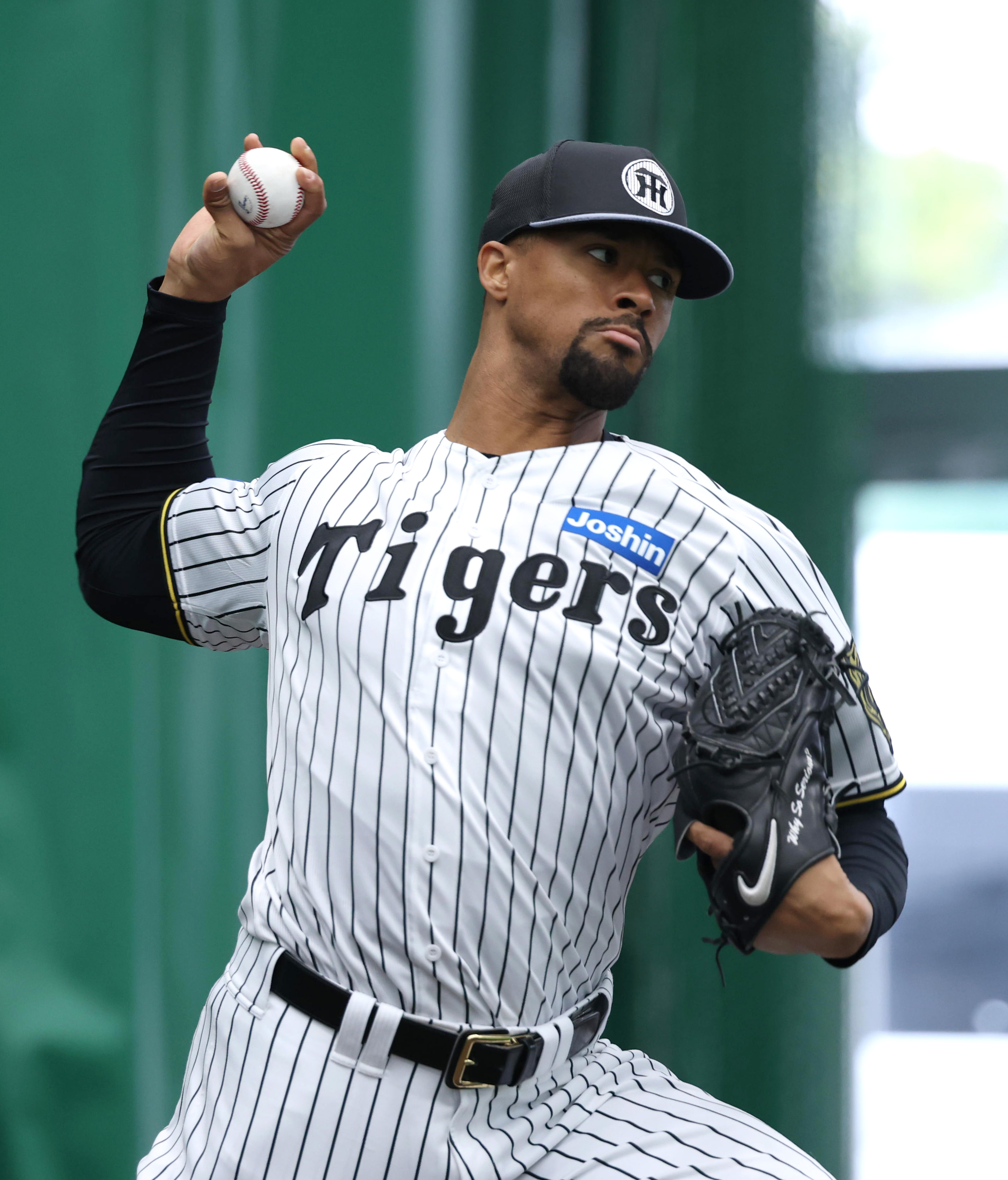 阪神の新外国人は名を捨てて実を取る ヘルナンデス、ネルソン、デュ