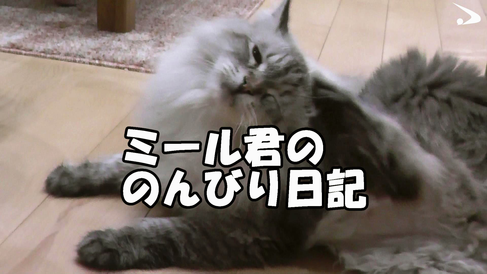 猫に罪なし」 プーチン氏贈呈「ミール」の動画公開 秋田 - 産経ニュース