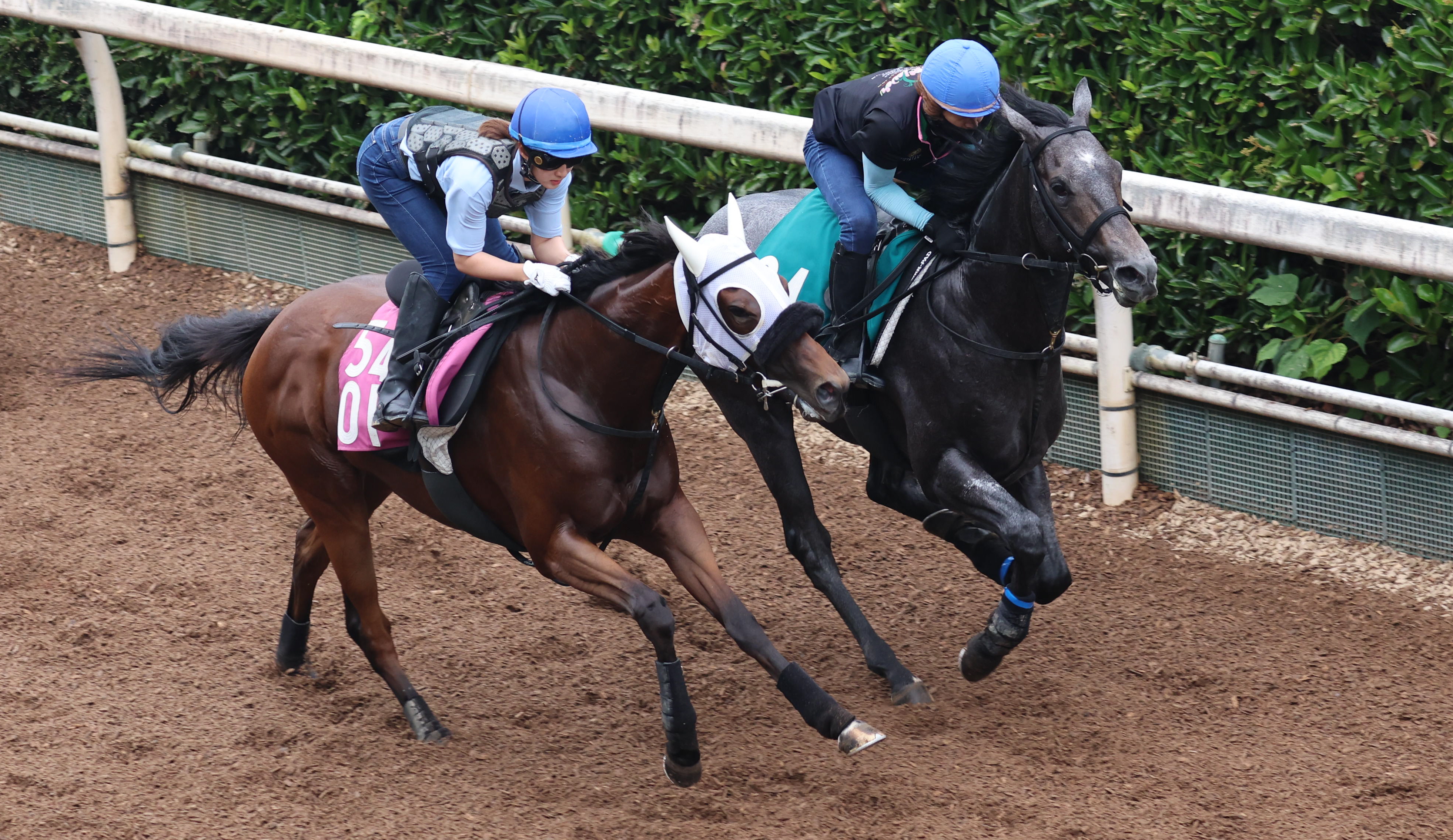 今日の注目新馬】サントルドパリ素質感じさせる動き 祖母は秋華賞馬