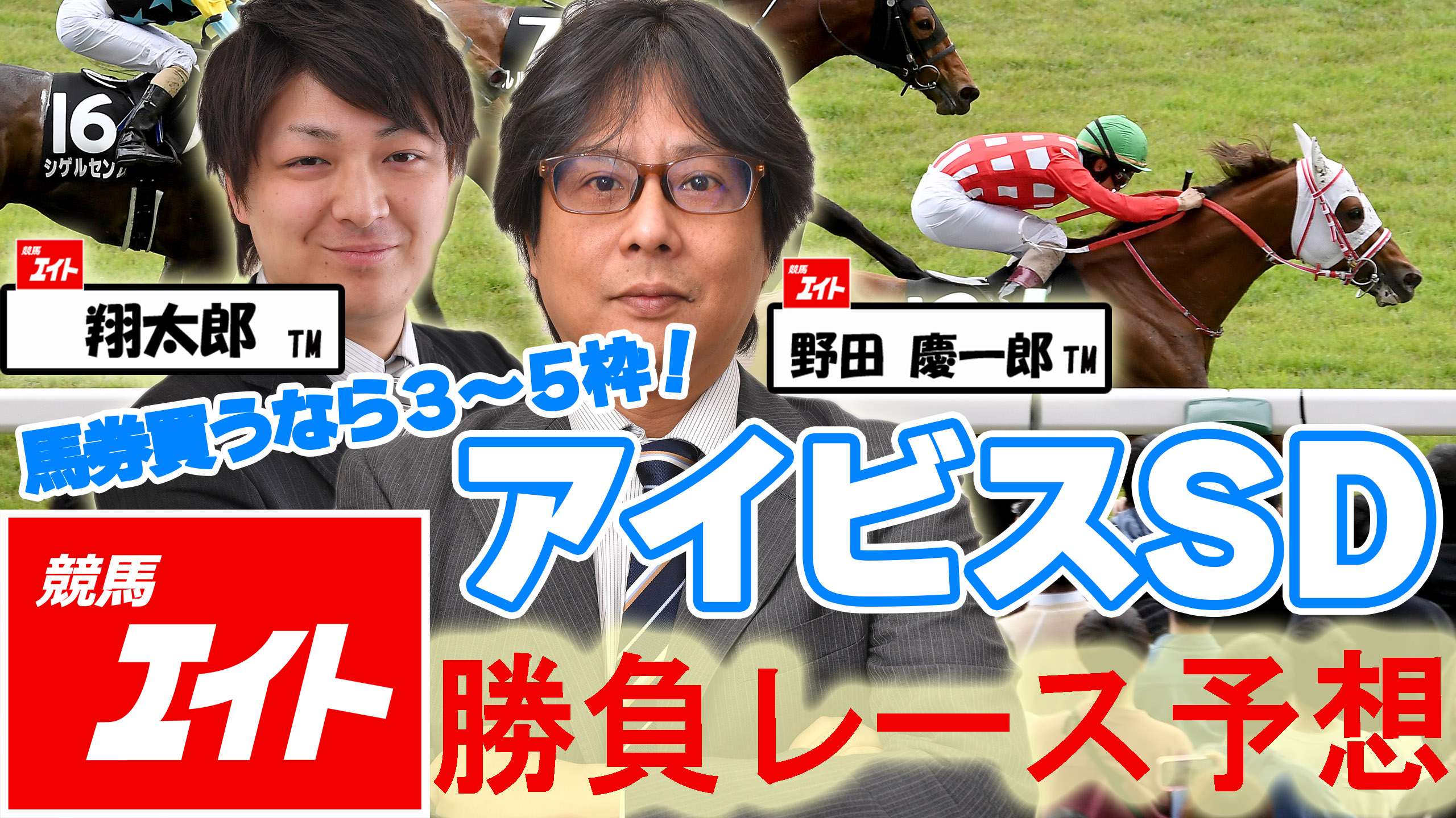 ミスターシービー　写真集　競馬　成績表付き ミスターシービー 写真集 競馬 成績表付き 写真集