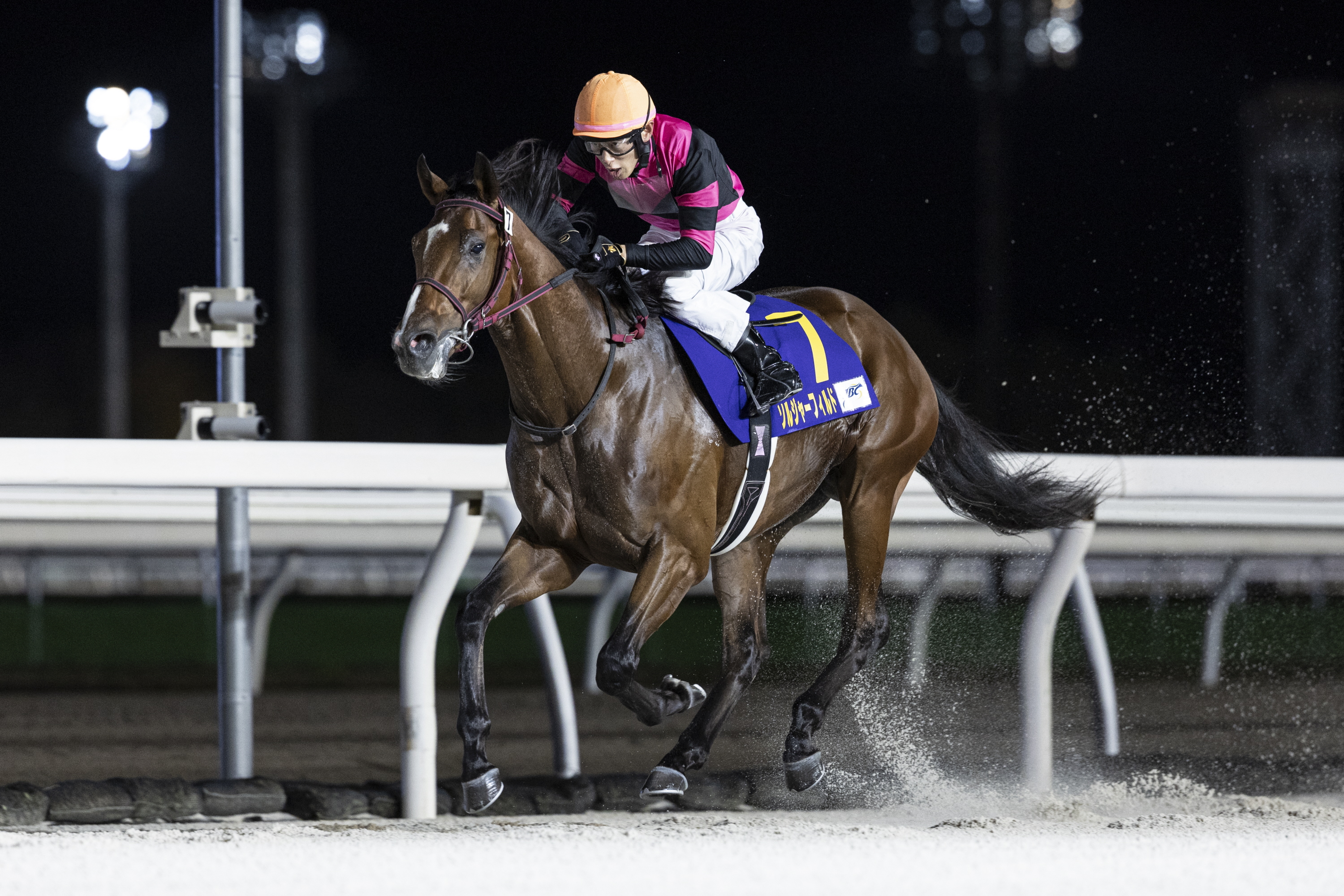 門別競馬・王冠賞】ソルジャーフィルドが史上8頭目のホッカイドウ3冠