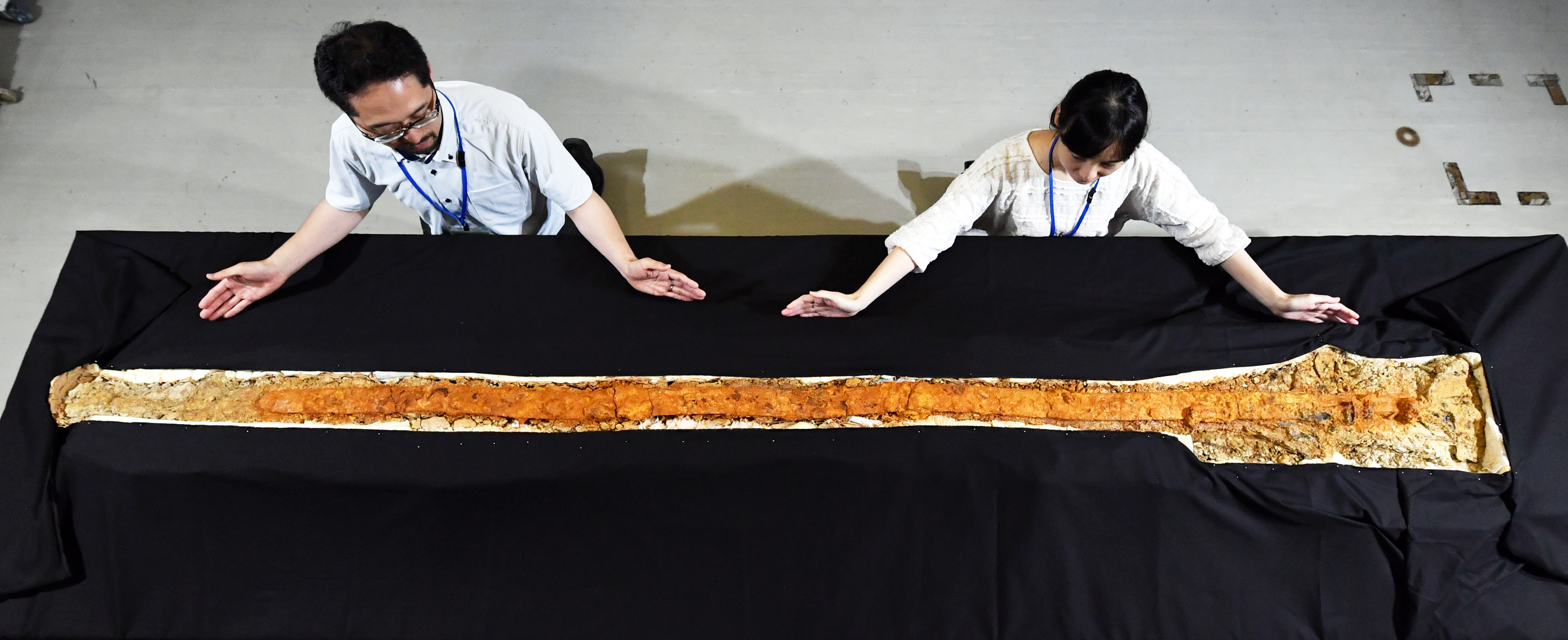 富雄丸山古墳の蛇行剣など展示施設建設へふるさと納税で寄付募る 奈良