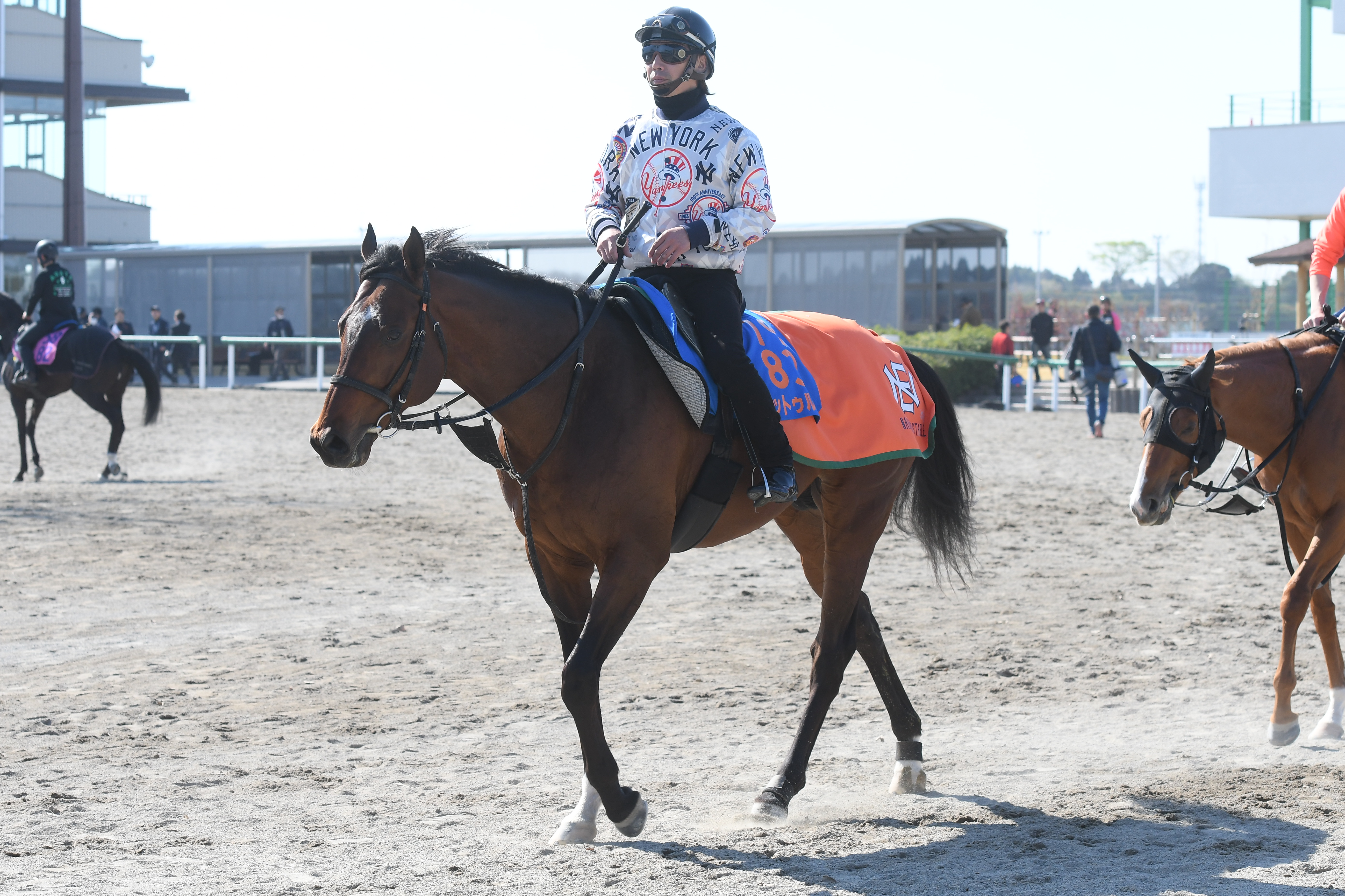 名古屋グランプリ】昨年の優勝馬ノットゥルノが外枠から連覇を飾る