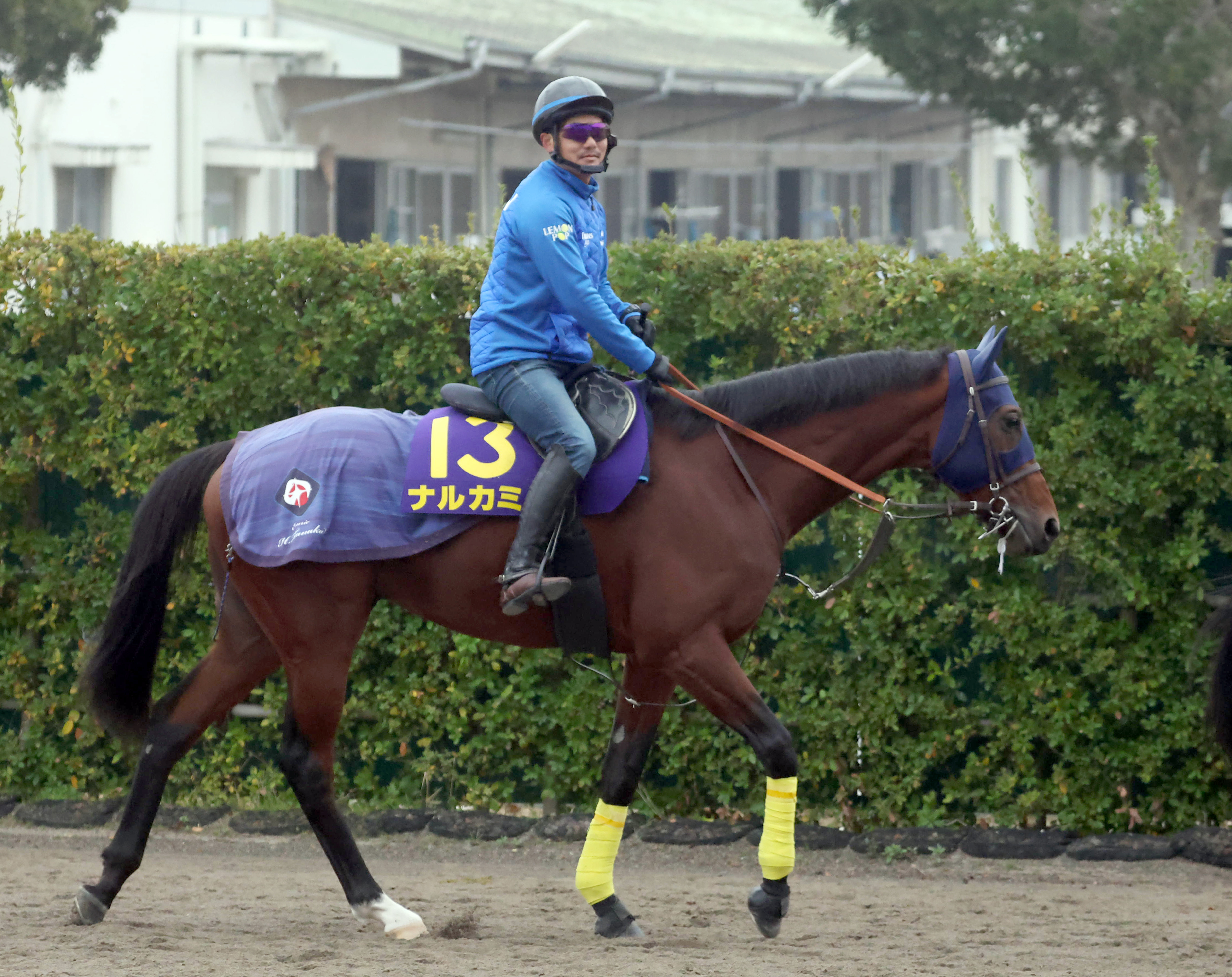 合馬公式 剣淵相馬 ｜ Z/X - Zillions of enemy X - ゼクス公式サイト