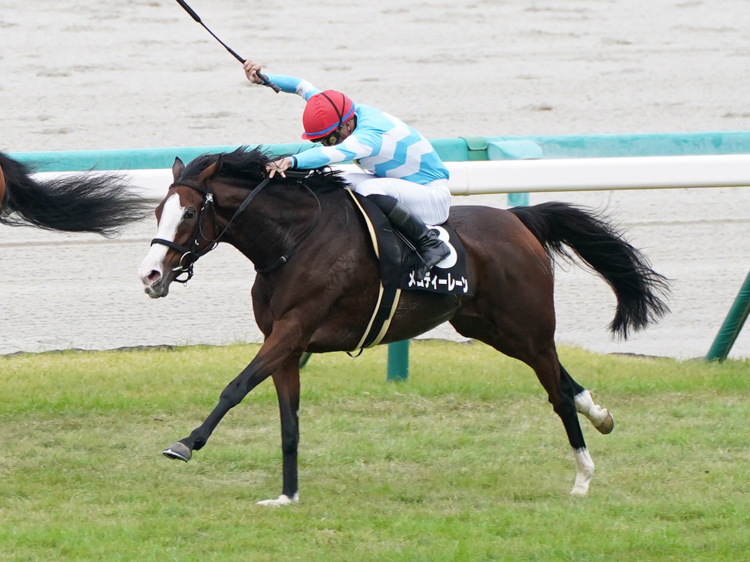 メロディーレーン□ぱかぱかばっじ□缶バッジ□競馬場□ＪＲＡ□【送料