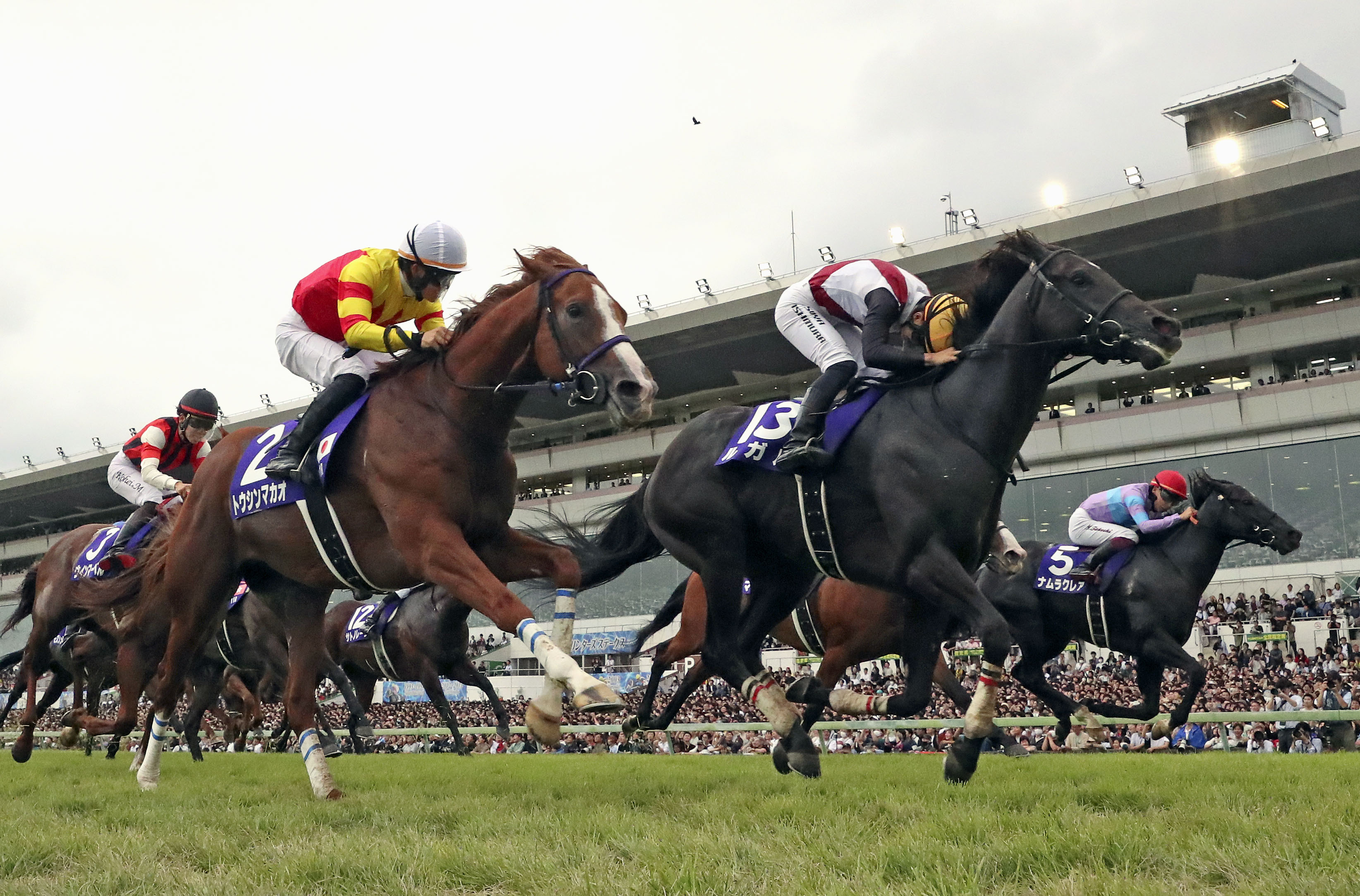 競馬 アイドルホース ロードカナロア スプリンターズステークス
