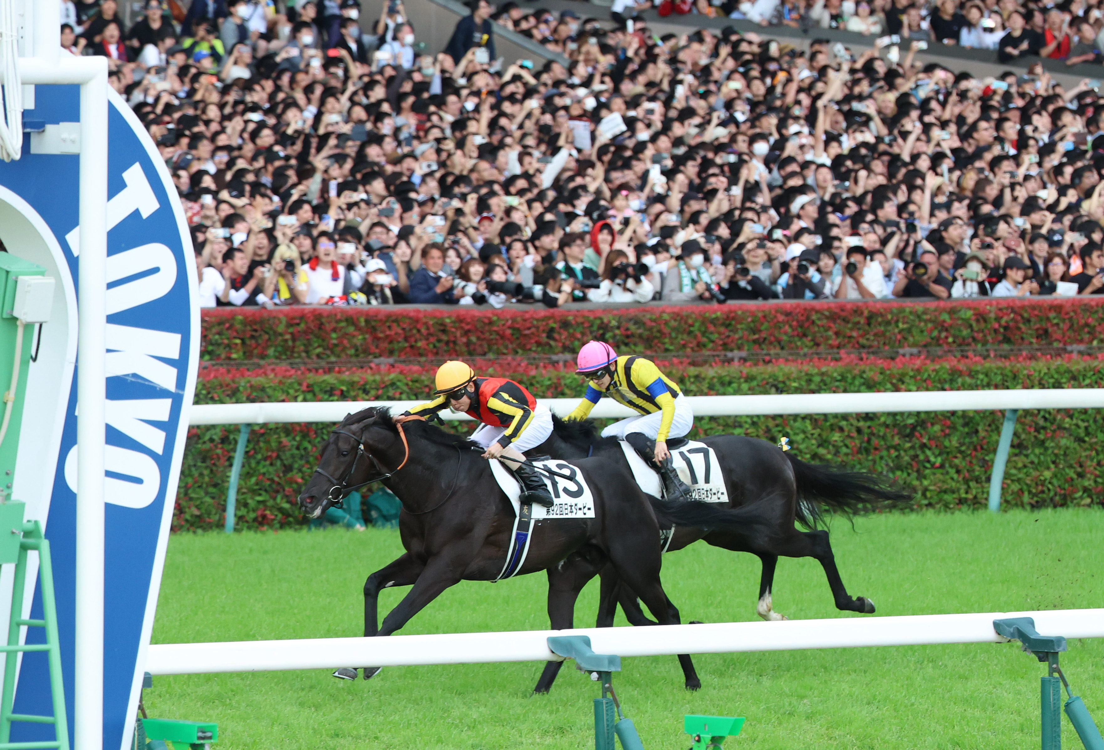 日本ダービー、クロワデュノールが制覇 北村友一騎手が騎乗、1番人気