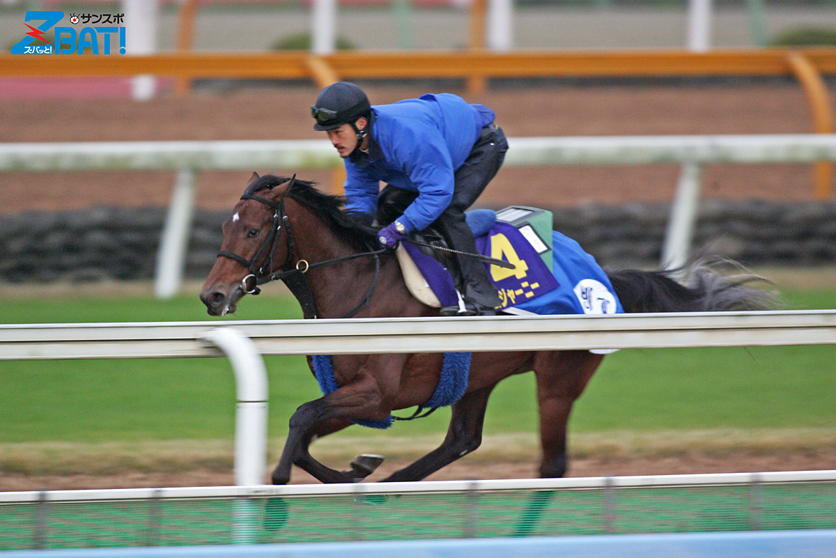 熱い販売 現地購入的中単勝馬券【新馬競走（デビュー戦/初勝利