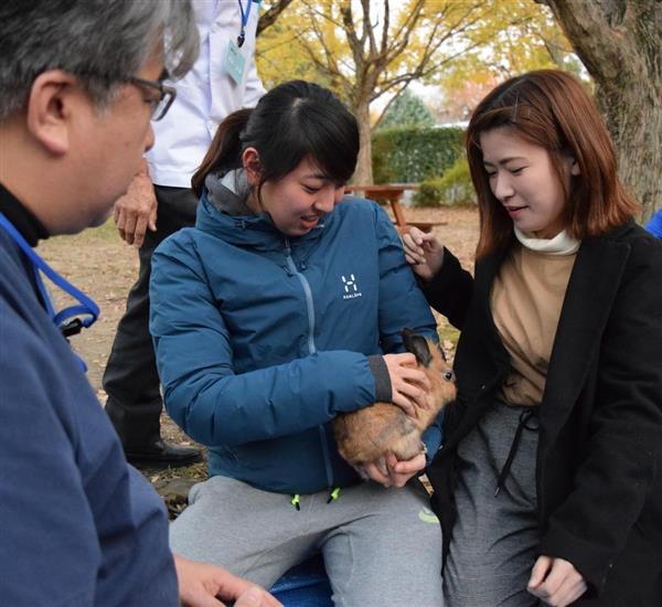 関西の議論 生き物係 どう育てる 学校の動物飼育崩壊 教師も知識なく ニワトリの卵 食べれるんですか 驚きの質問 1 4ページ 産経ニュース