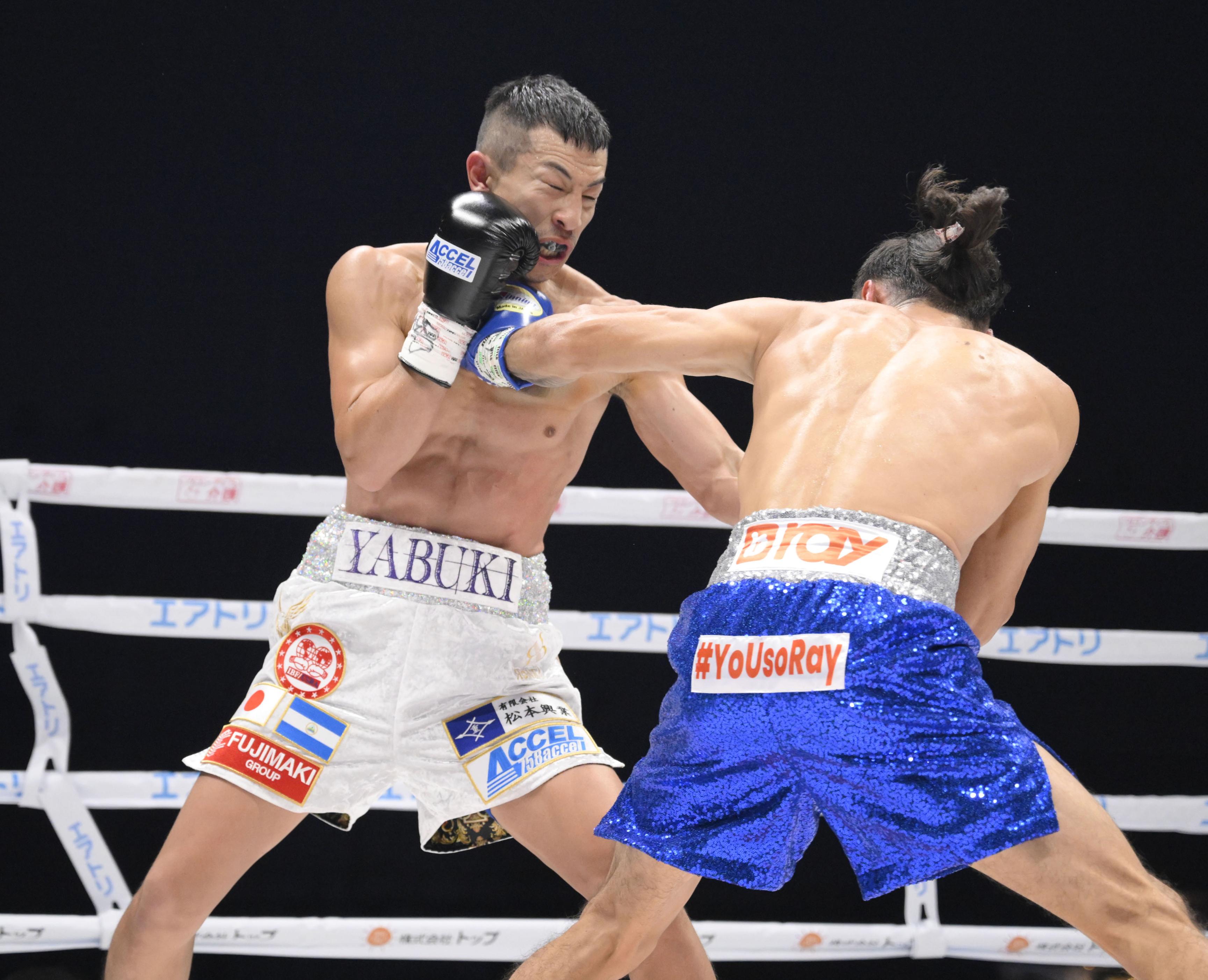 ボクシング】亀田大毅氏「恐ろしい選手。大器晩成型と言っていい