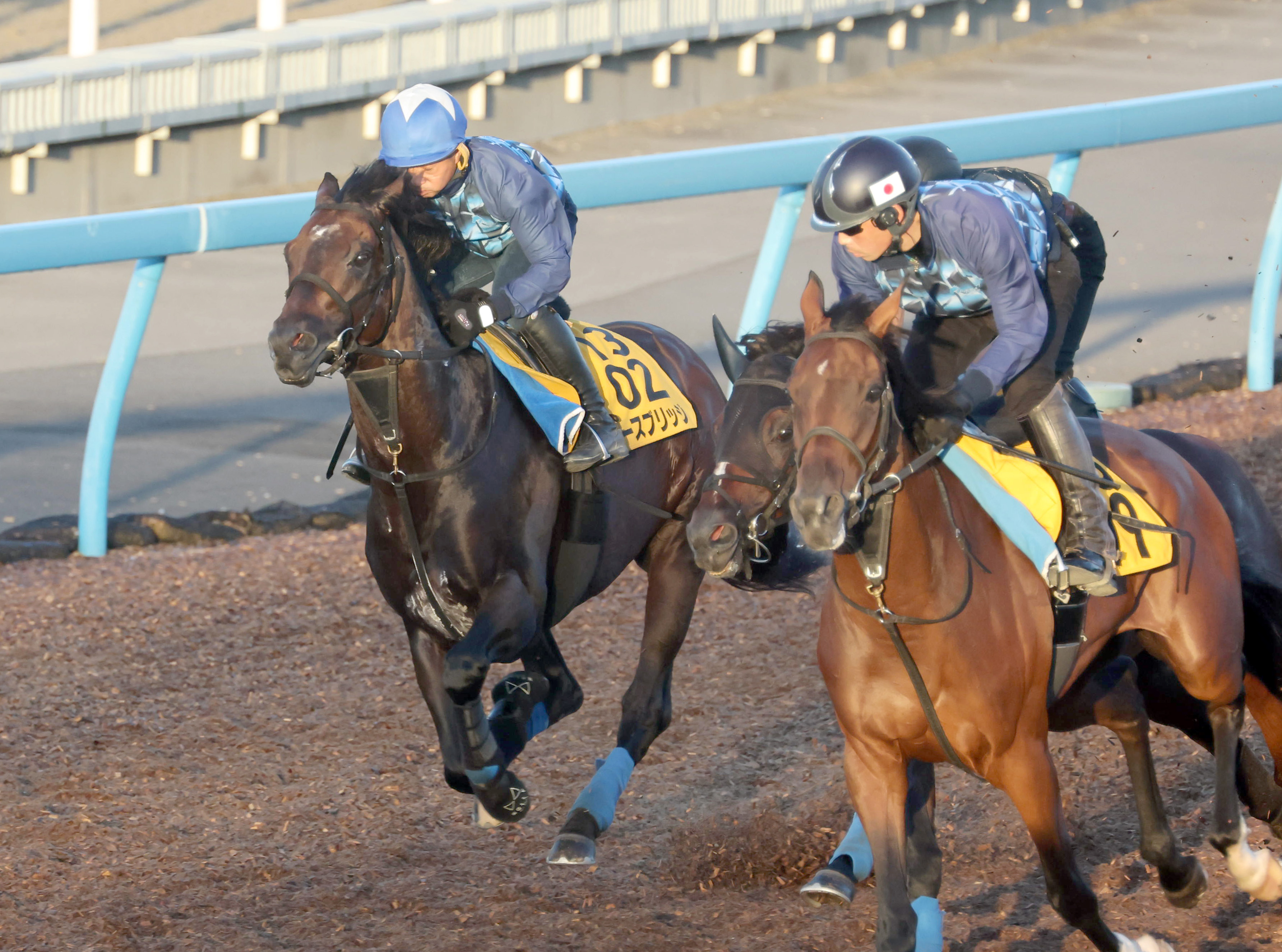 【産経賞オールカマー】１週前追い 大阪杯以来のノースブリッジは ...