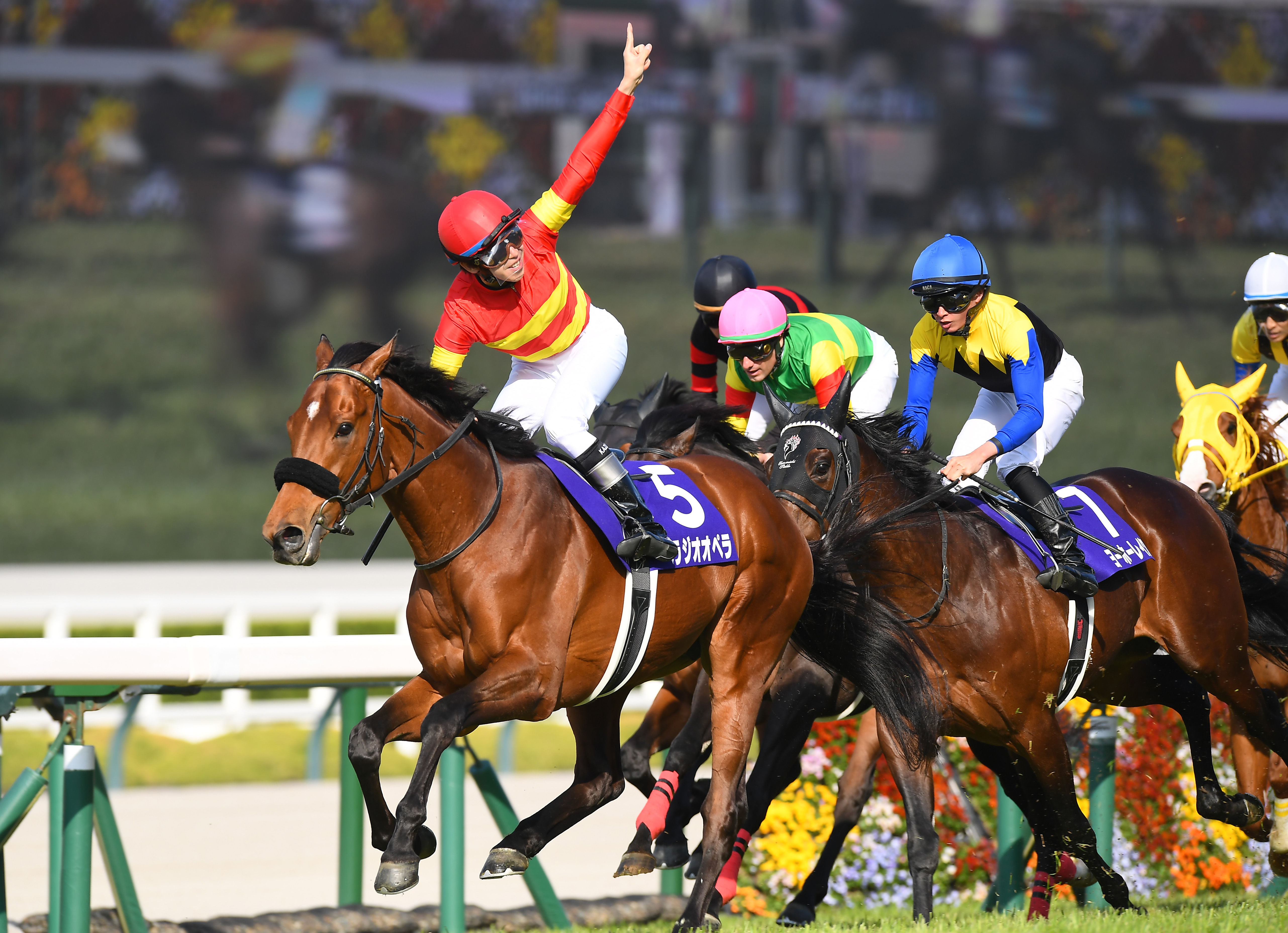 べラジオペラ ホースレーシング 横山和生 サイン ホスレ 競馬 G1 P5AMLAGOZRMSJKVZEJLCPDEDC4.jpg