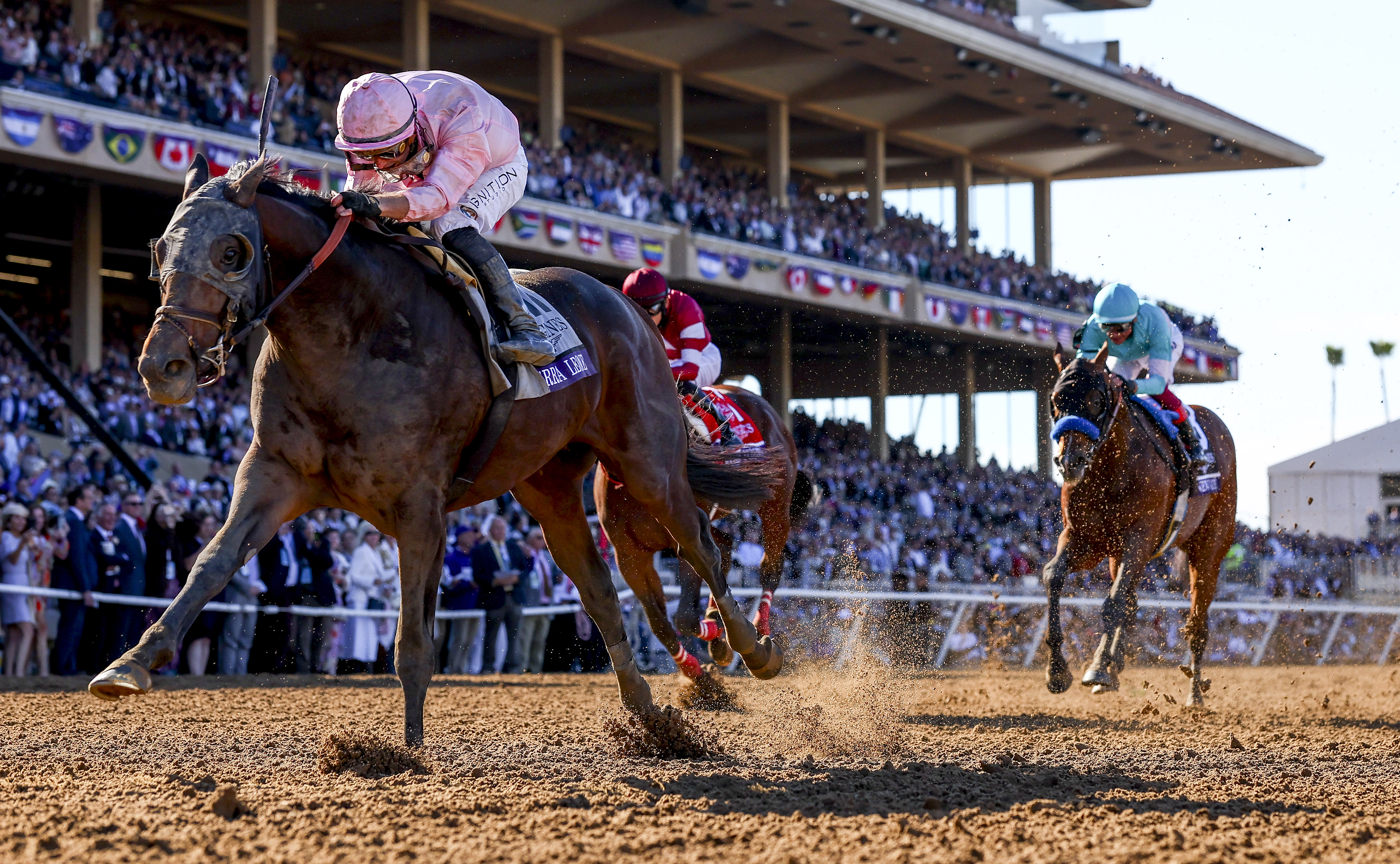 米ブリーダーズカップを現地観戦しよう たびりずむ4日間観戦ツアー参加