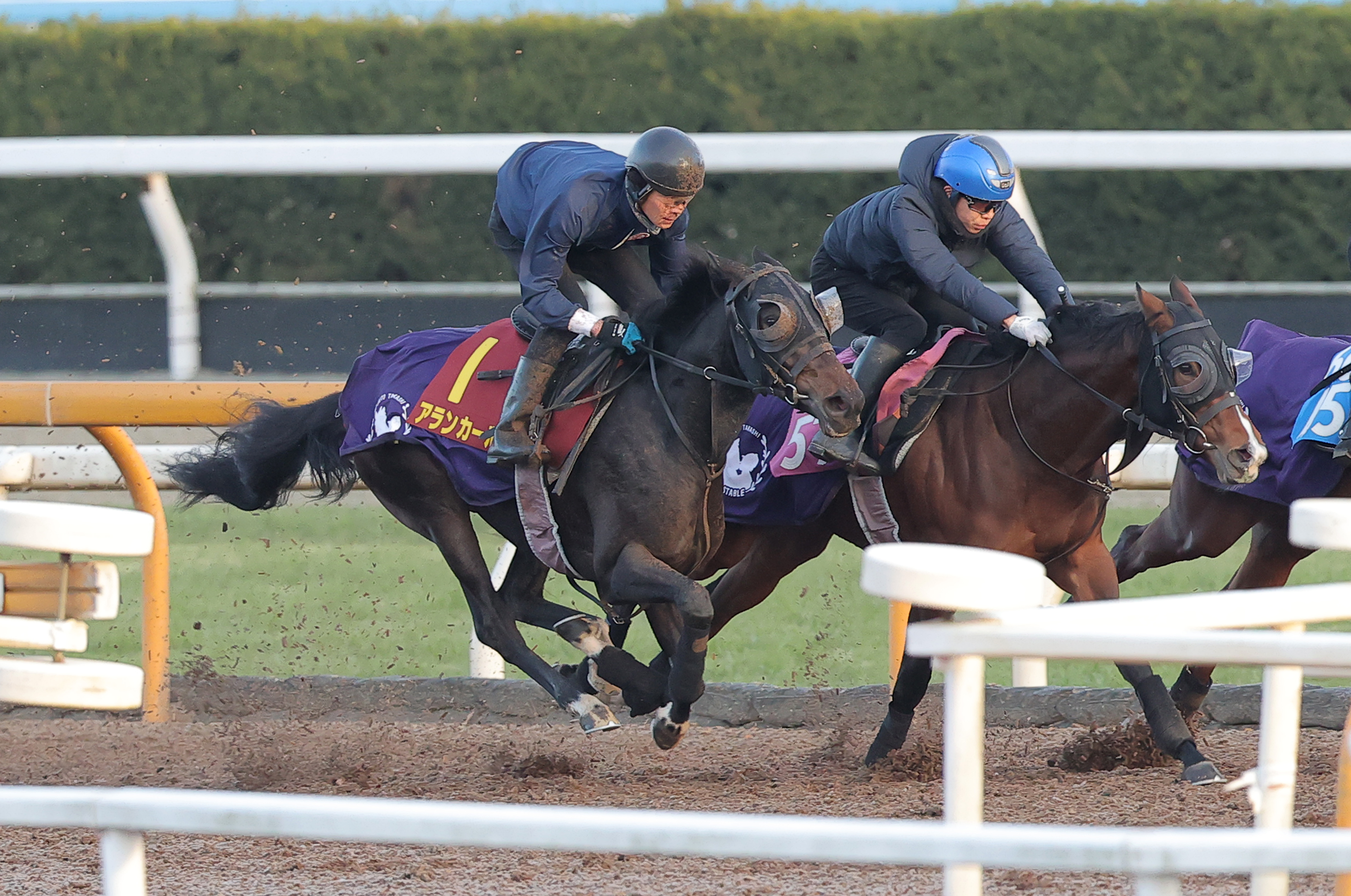 阪神JF 追い切り】アランカールCWコースで超加速 斉藤崇師「（精神的に