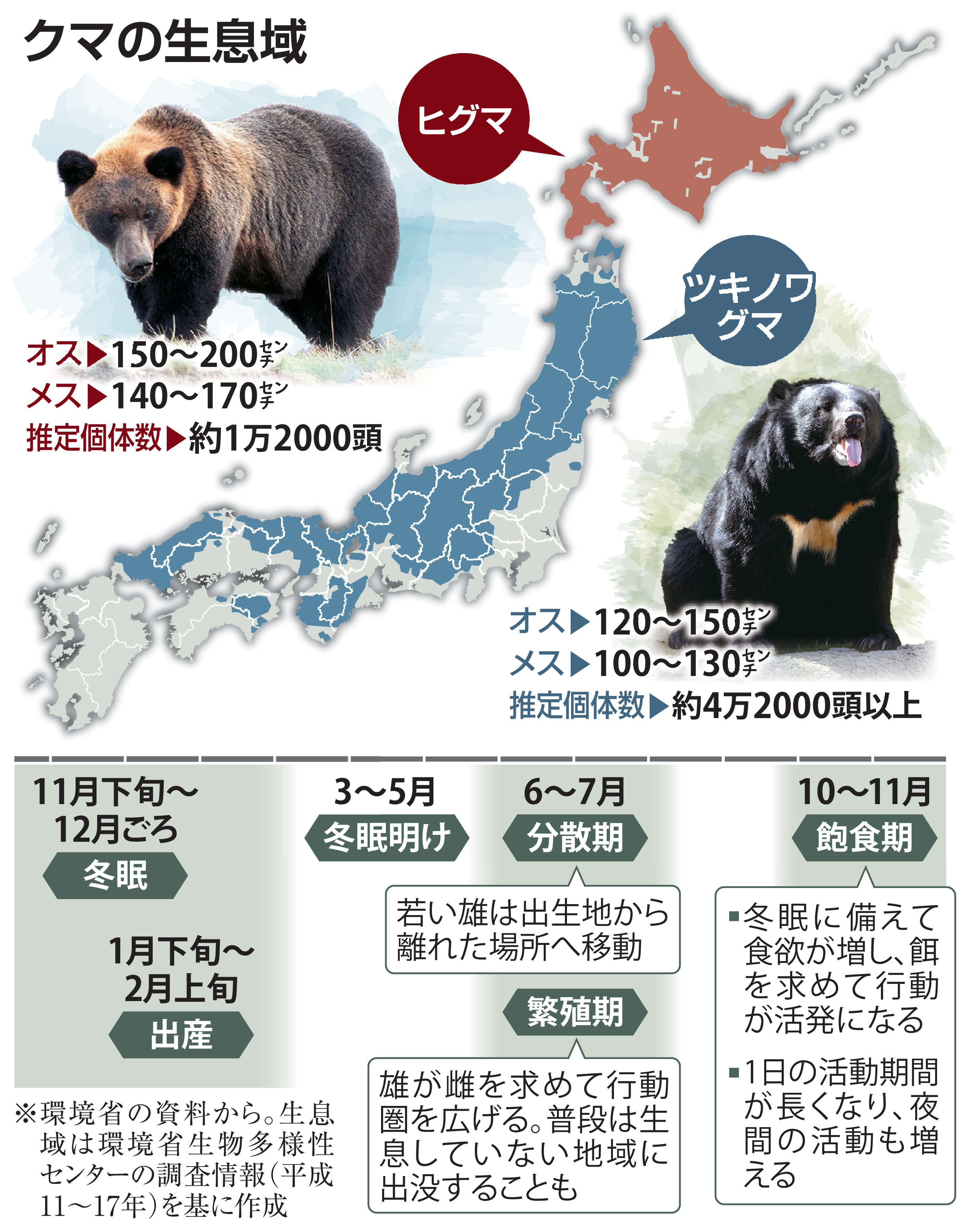 熊ページ 市街地出没「アーバンベア」冬眠しない？ 人里で餌確保でき、1月初旬
