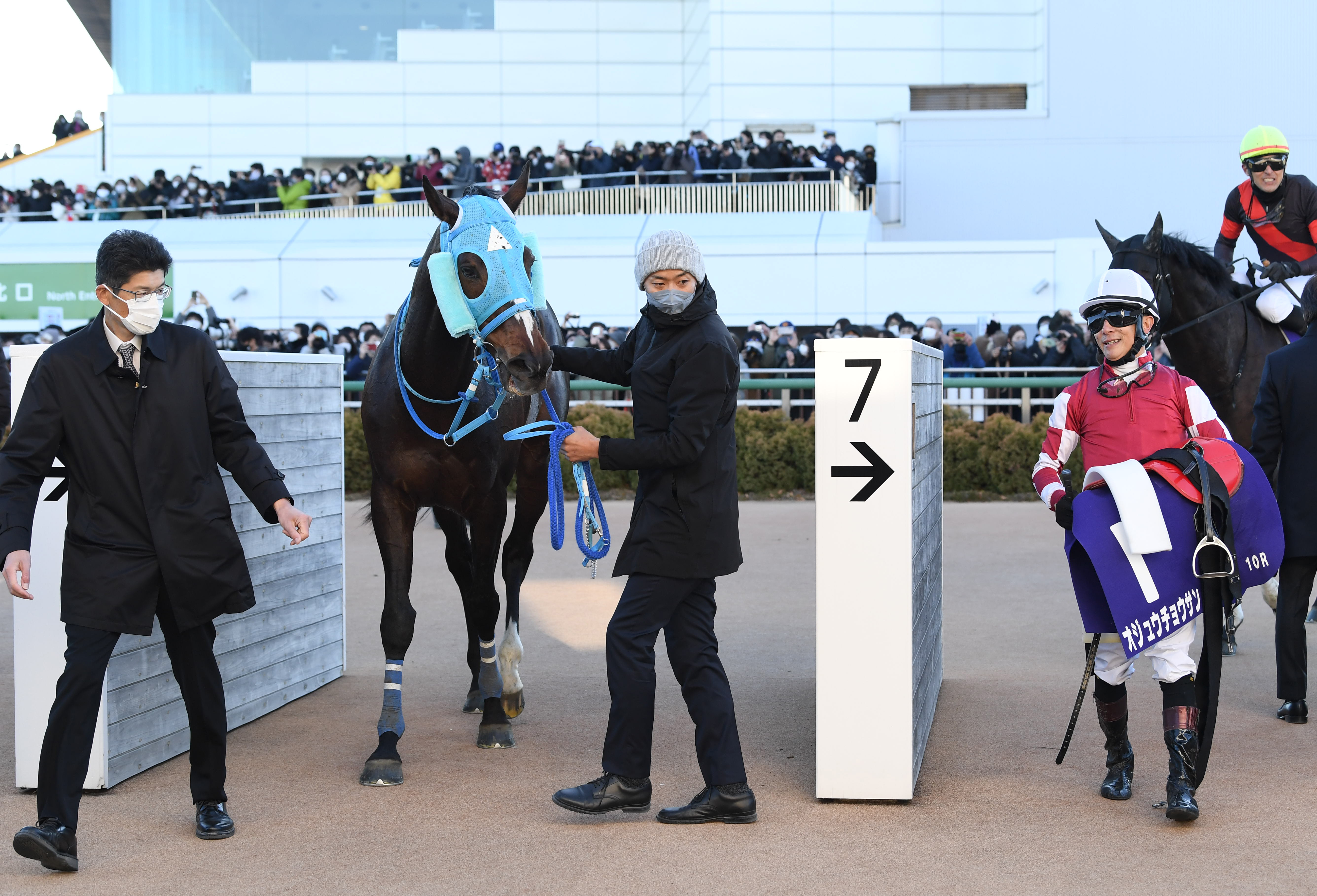 中山大障害】ラストランのオジュウチョウサンは６着 石神騎手「（現在 