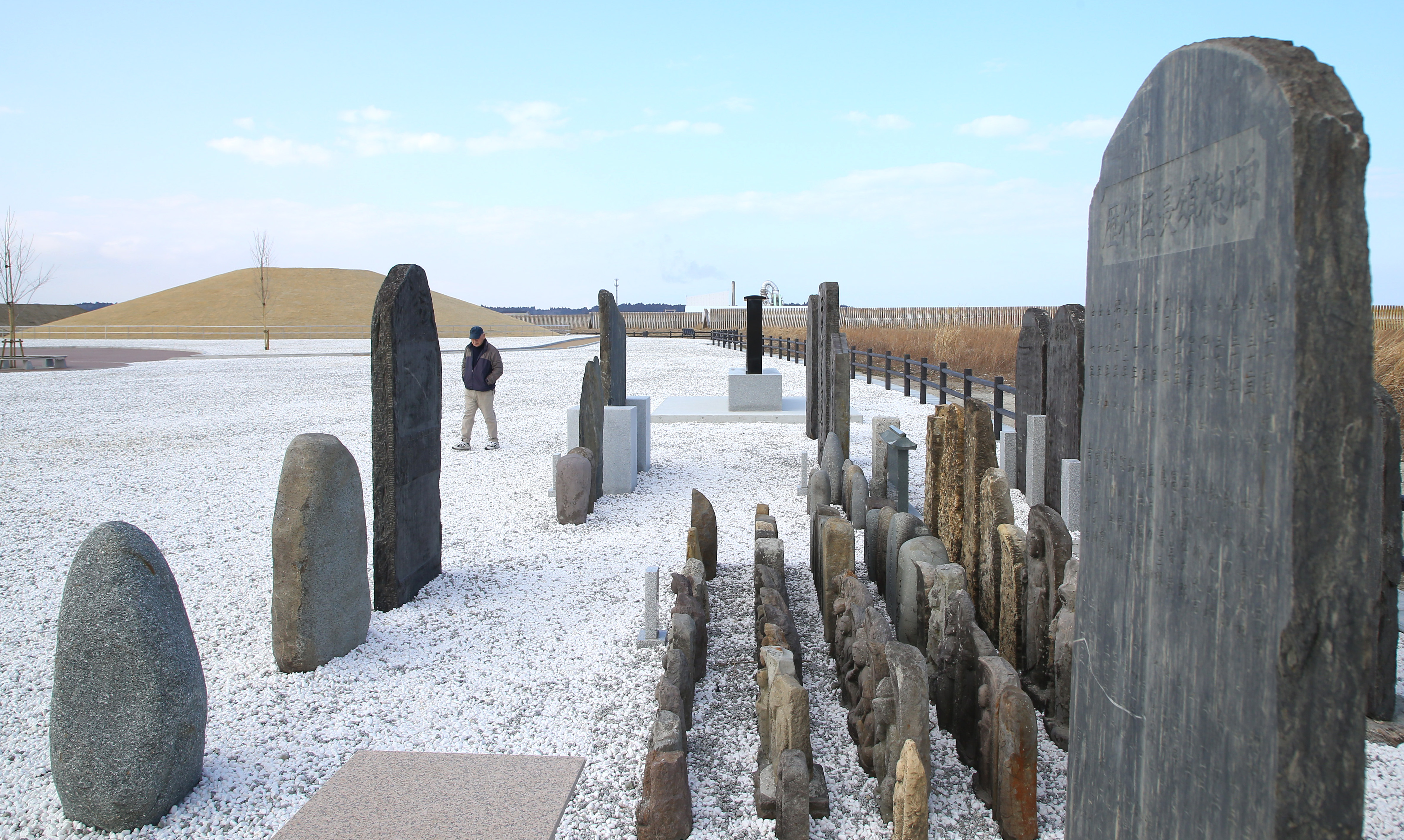 墓所のタイタン 墓所のタイタン 墓所のタイタン/Grave Titan》[C14] 黒R | 日本最大級