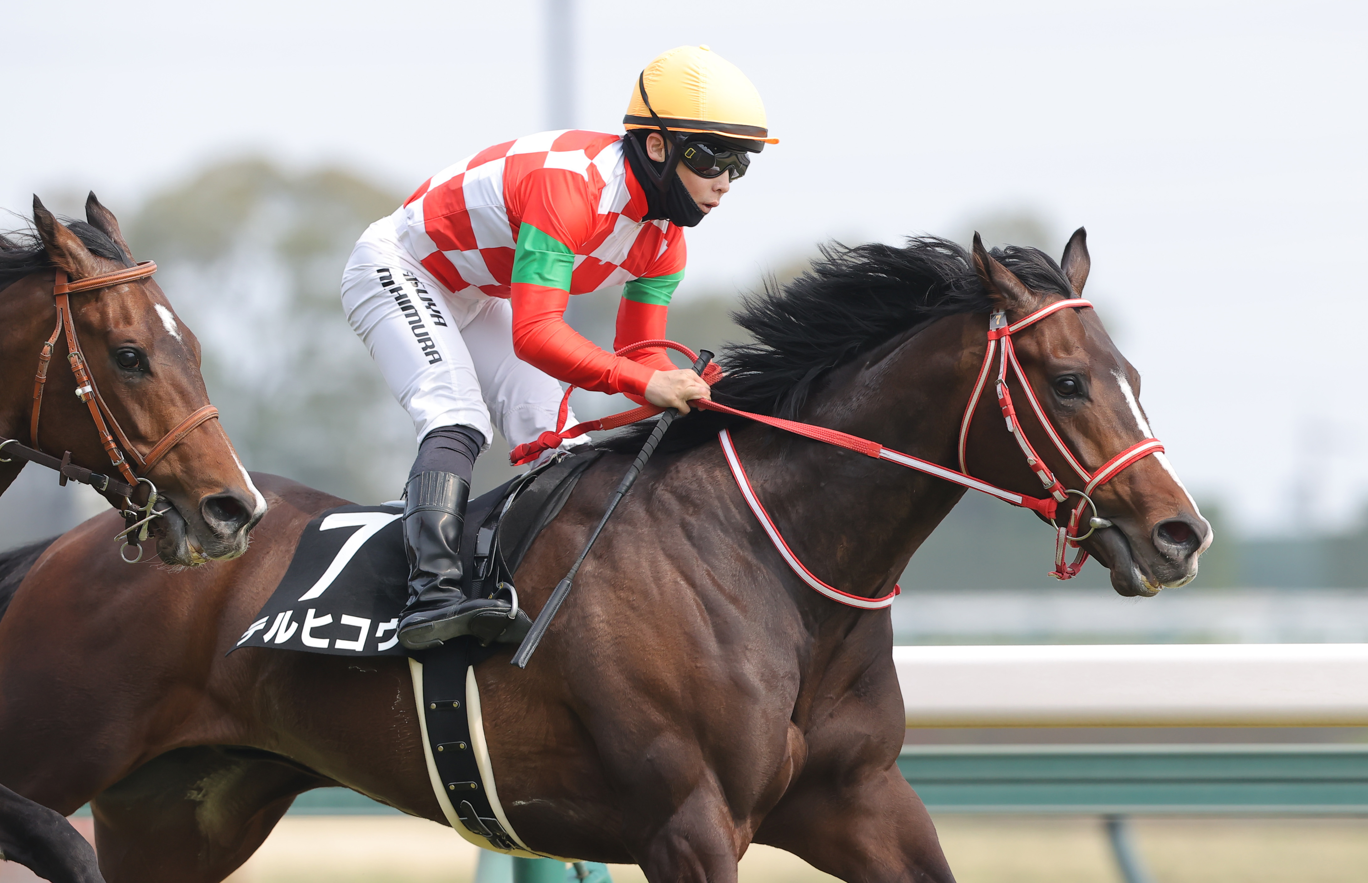東西記者 今週の狙い馬】青葉賞はコントレイル産駒が5頭登録 