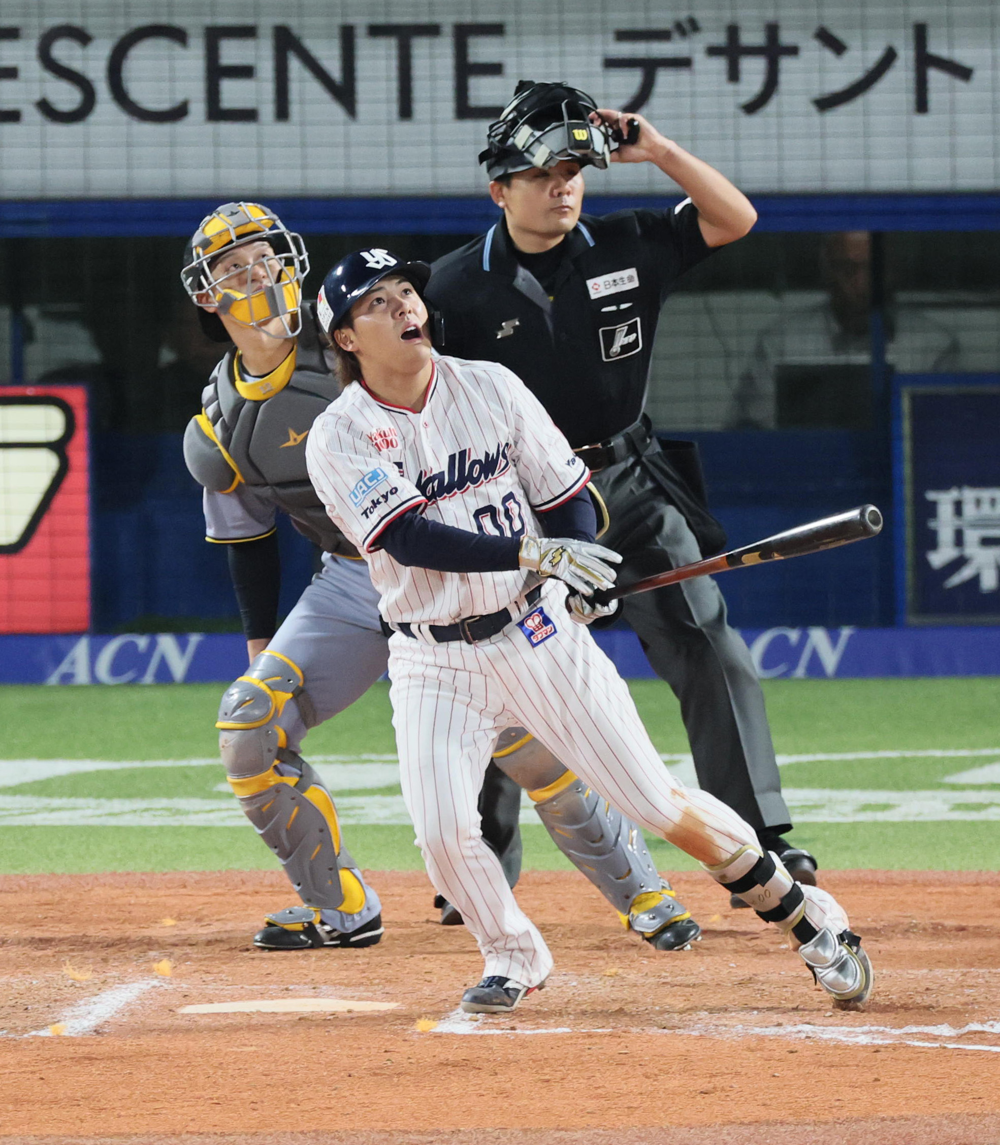 ヤクルト・赤羽由紘が出場選手登録を外れる 25試合の出場で打率.271