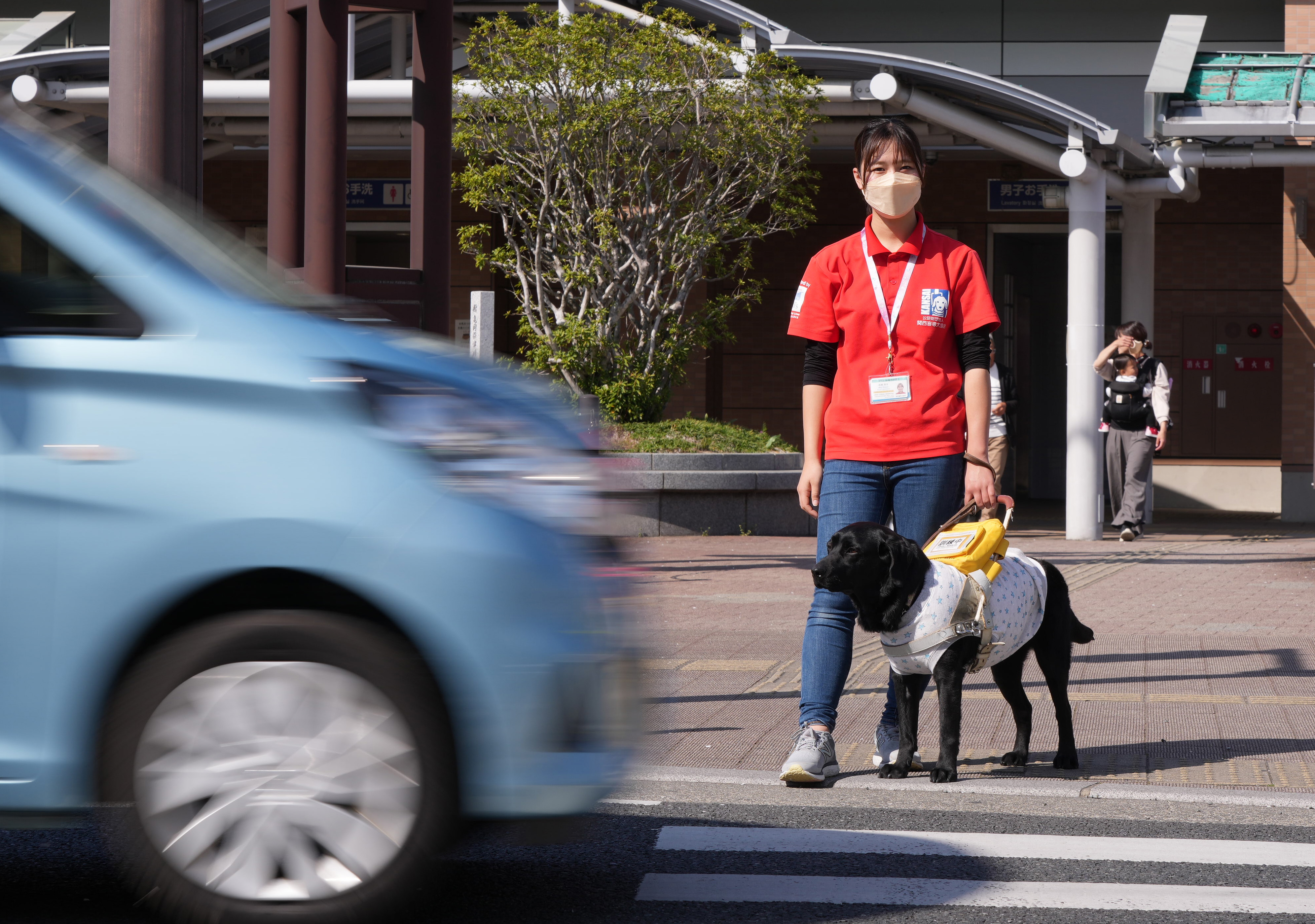 盲導犬のいま】（中）「グッド」で育ててよく観察 訓練士がみせる職人