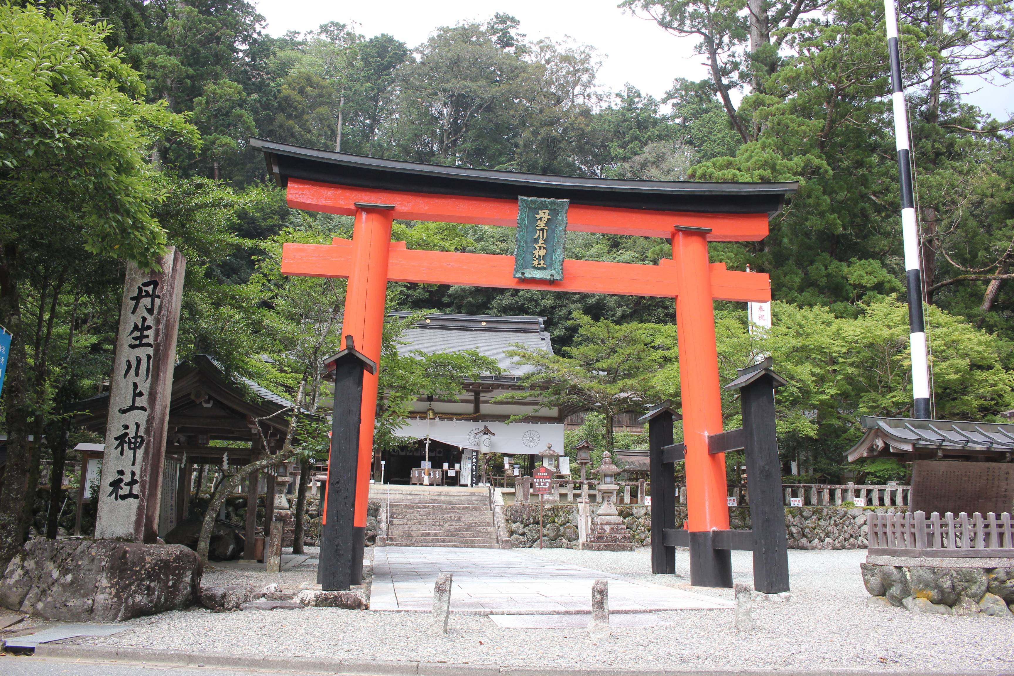 社寺三昧】丹生川上神社中社 巨樹並び立つ水の霊地 奈良県東吉野村