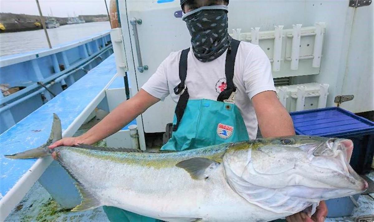 カモシで１５ １キロのヒラマサ 自慢ｓｈｏｔ サンスポ