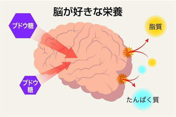 知ってる ラムネ菓子の魅力 ２ 主成分が脳のエネルギー源 産経ニュース