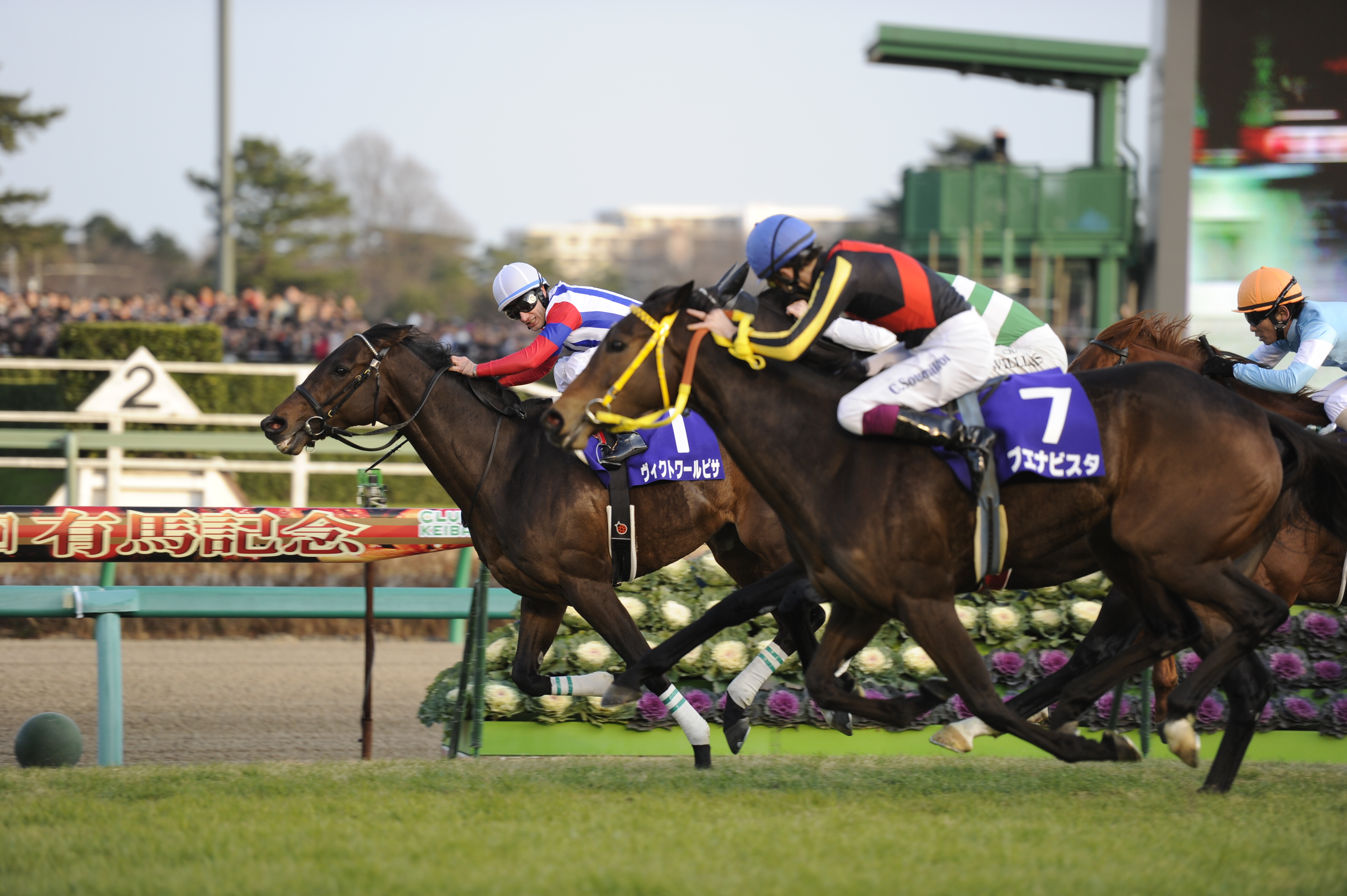 Ｗ杯イヤーの有馬記念③】２０１０年南アフリカ大会・優勝スペイン