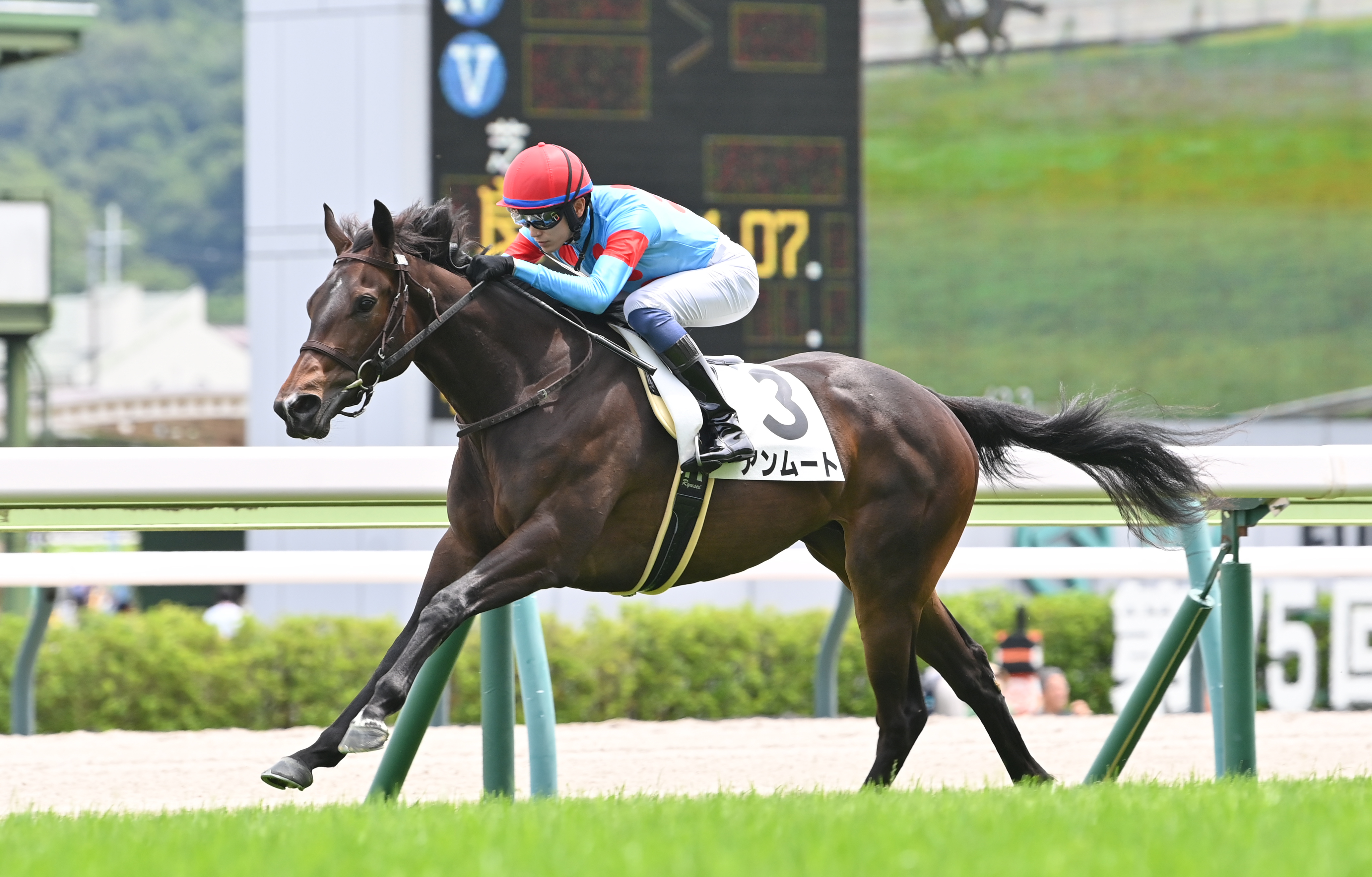 2歳新馬・福島5R】シルバーステート産駒アンムートが5馬身差の圧勝