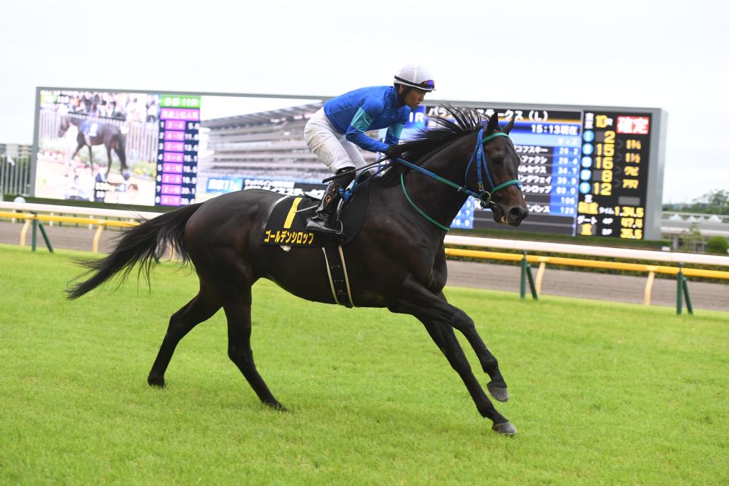 合う馬 朱鷺S】タフな馬場合うゴールデンシロップ - サンスポZBAT!