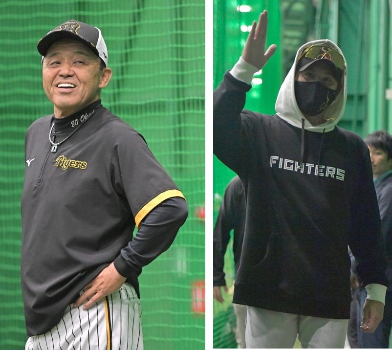 野球監督の『365日』　全6巻　たっちゃん mqdefault.jpg