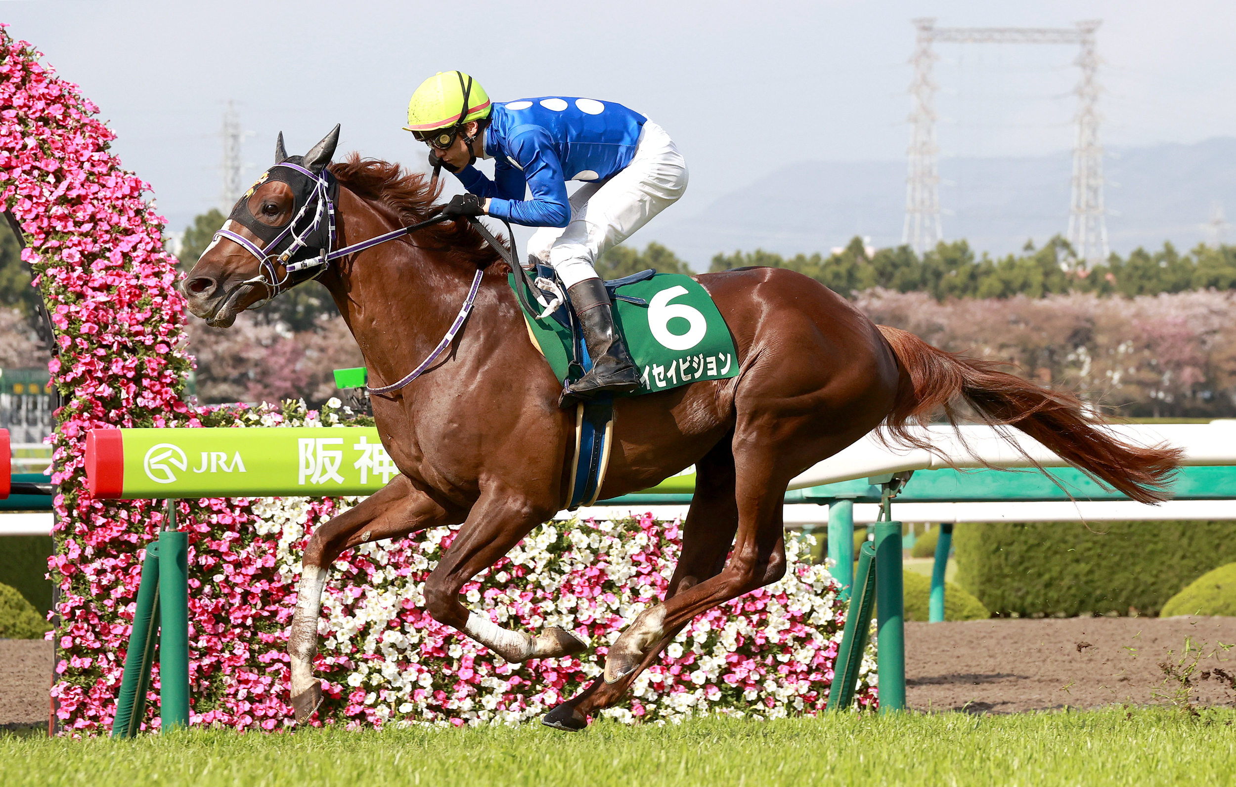 重賞２勝のタイセイビジョンが放牧先で心不全を発症して急死