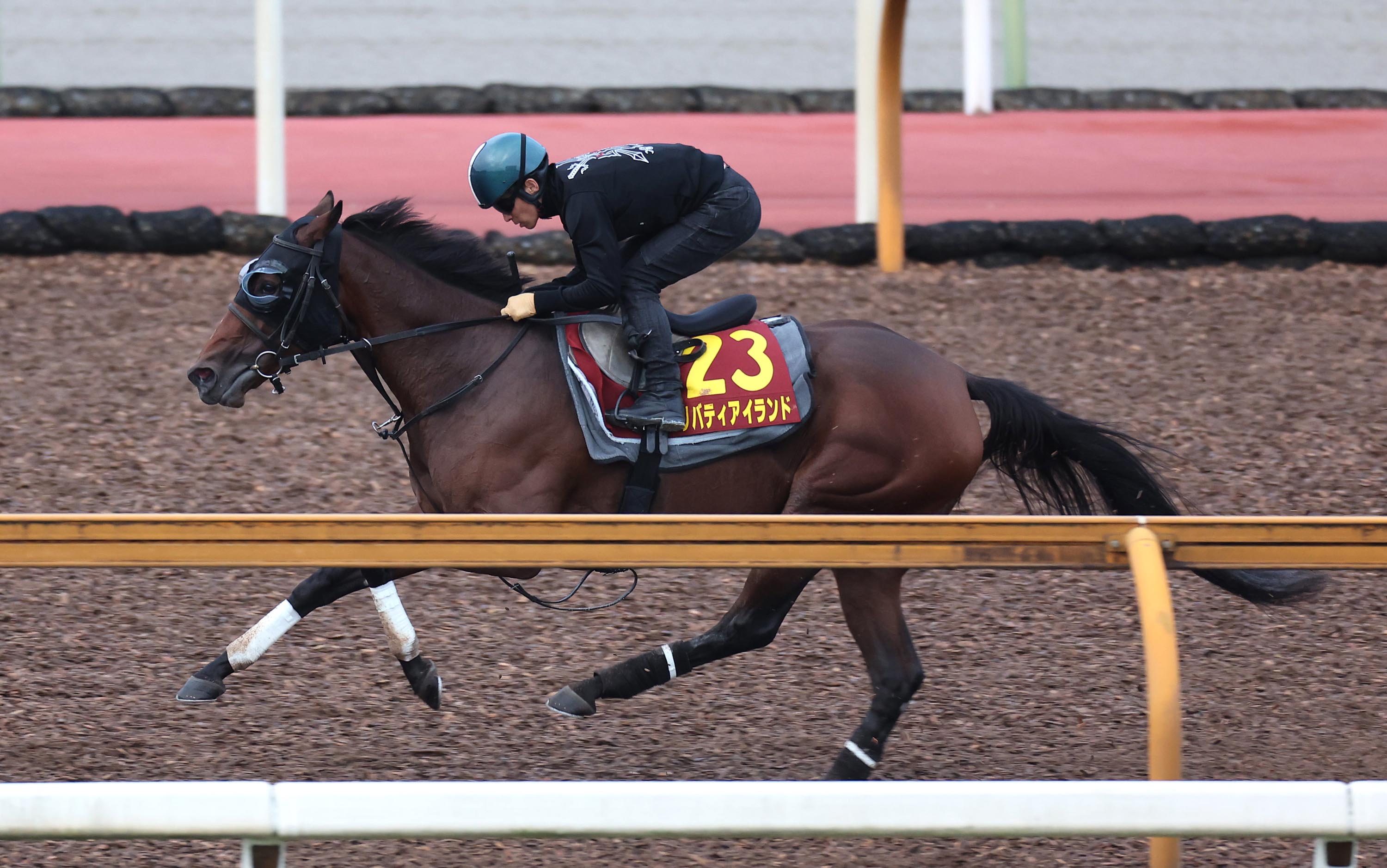 牝馬３冠狙うリバティアイランドは③枠６番 競馬の秋華賞枠順決まる