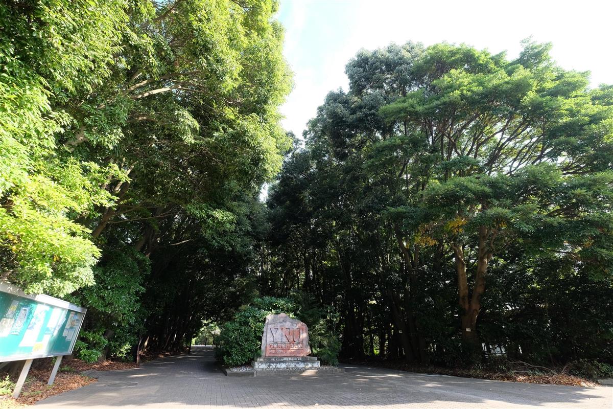 100年の森 明治神宮物語】継承（5）未来へ歩む「木を植える人々