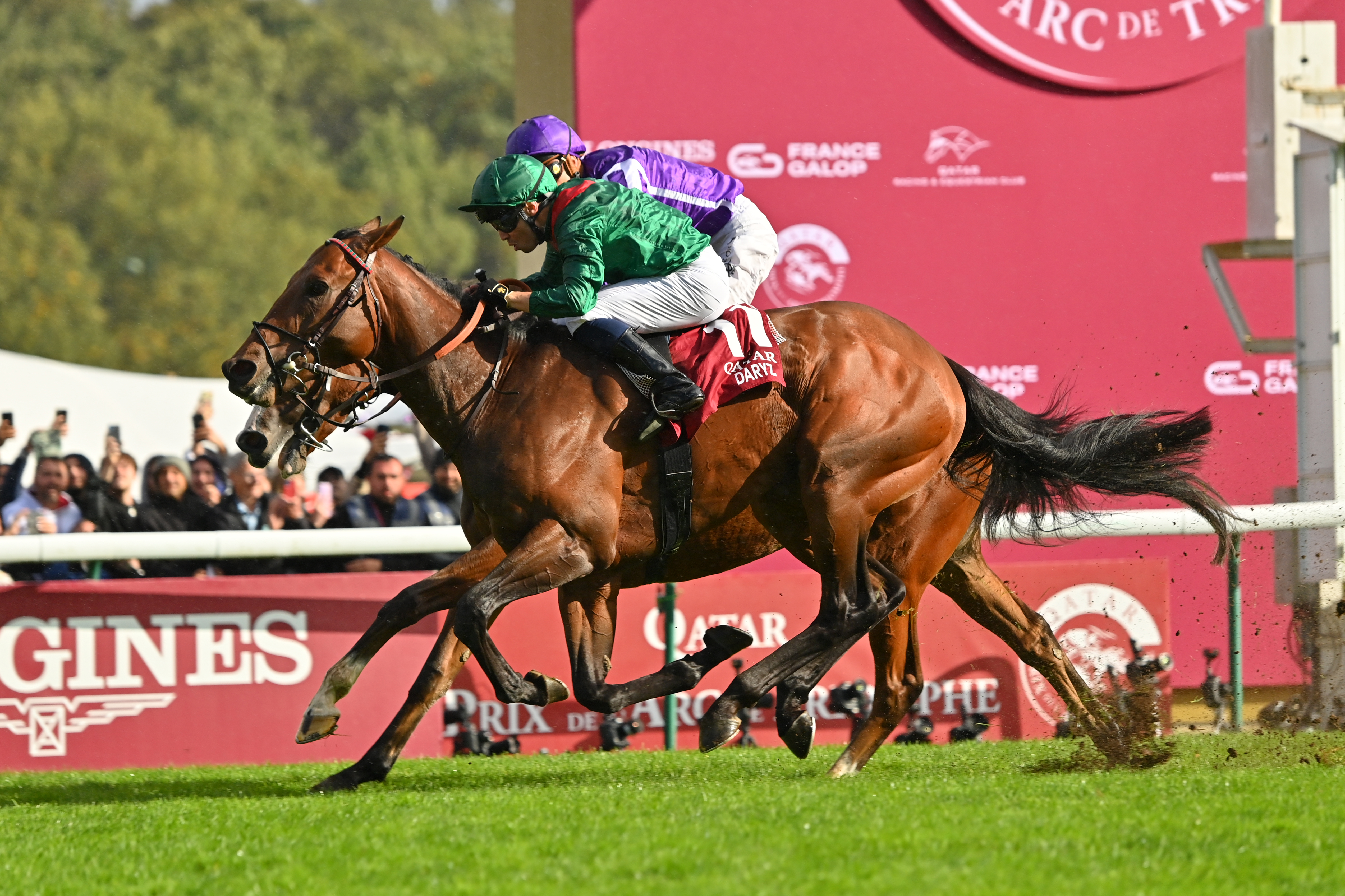 プリンスキャット　エポス　A賞 プリンスキャットエポスA賞