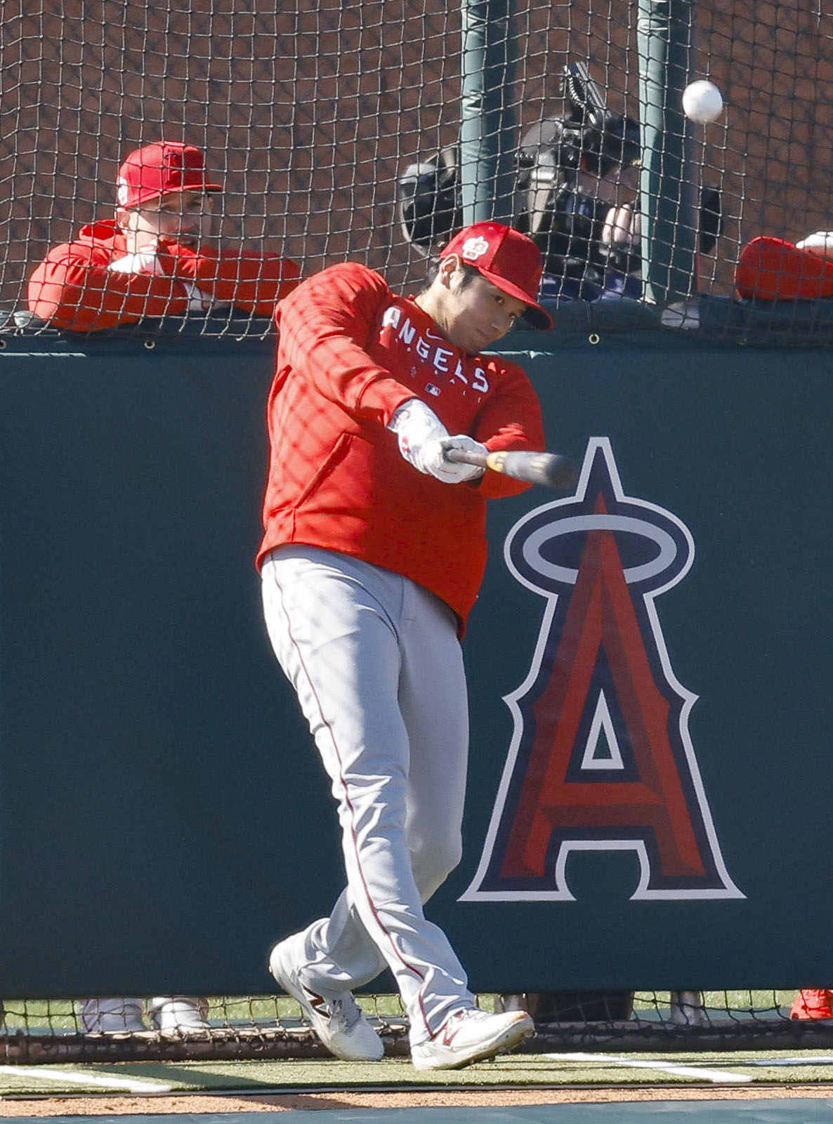 超希少】大谷翔平も使用！チャンドラーバット - バット