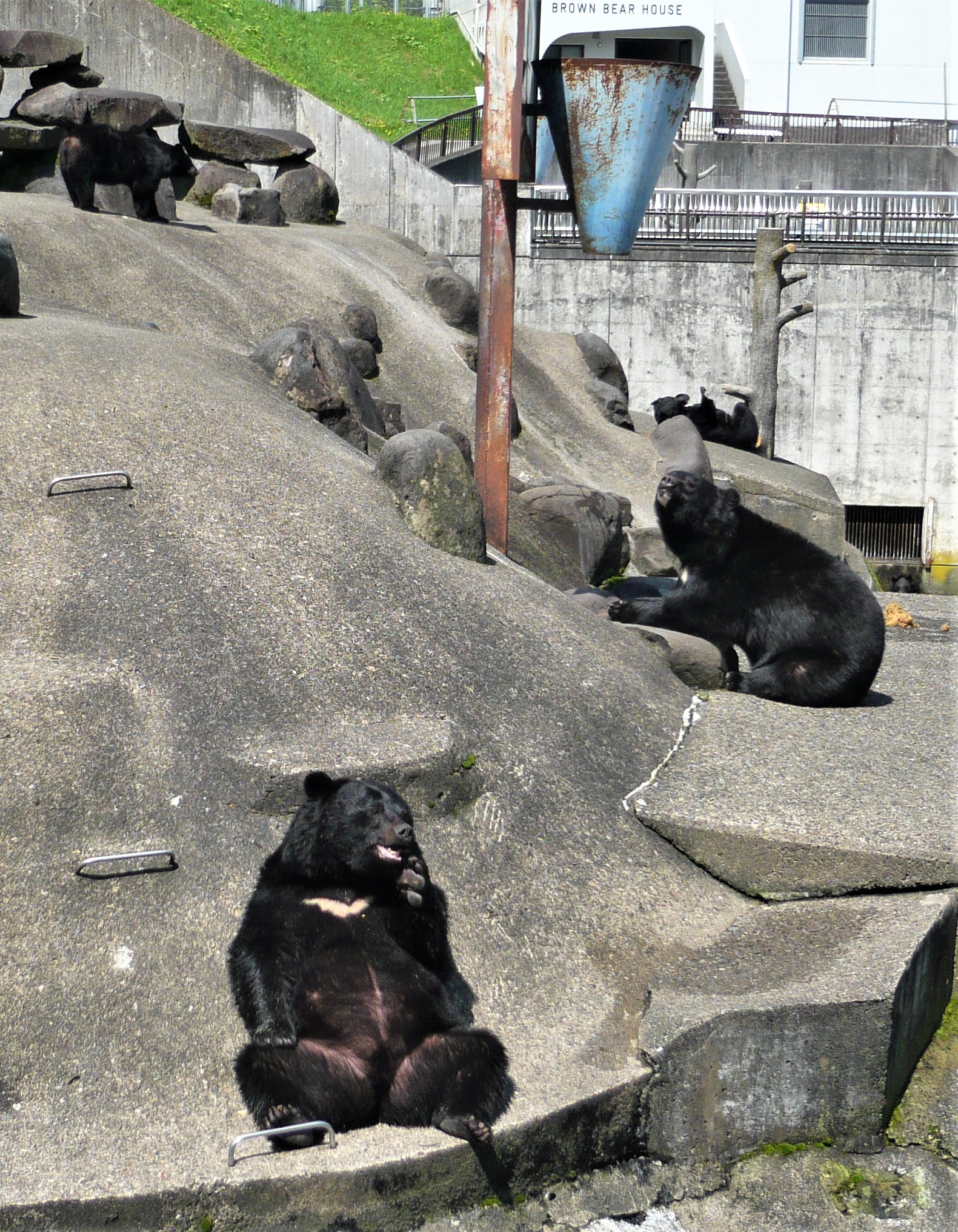 クマと対面してマタギ文化に触れる 北秋田・阿仁 どぶろくも 味・旅