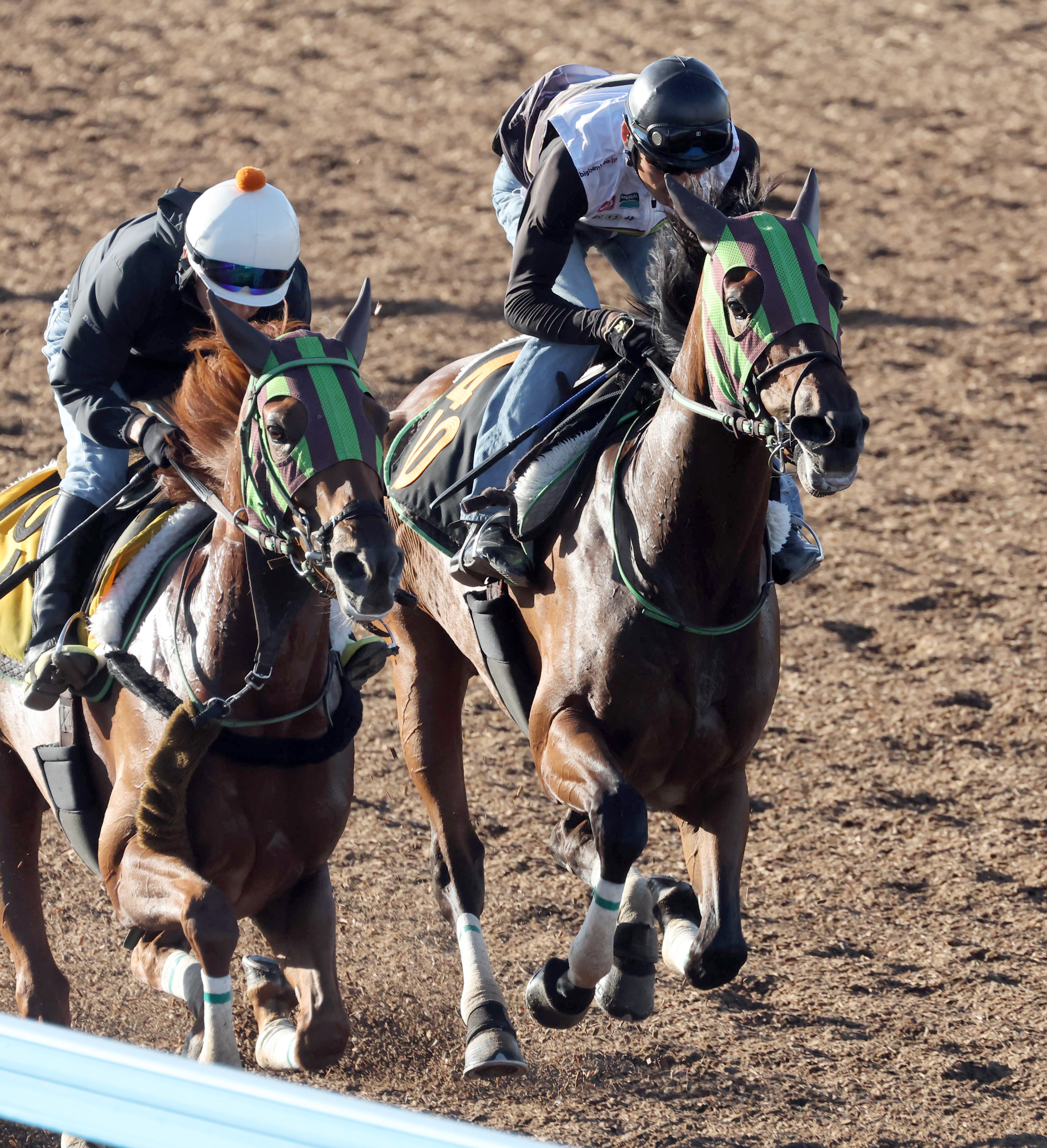 【紫苑Ｓ】オークス断念のグランベルナデット 仕切り直しの秋へ帰 ...