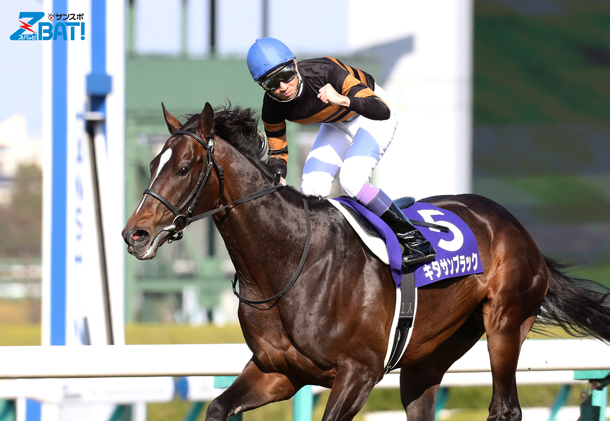 キタサンブラック写真パネル JRA展示品 キタサンブラック・オリジナル写真パネル｜netkeiba