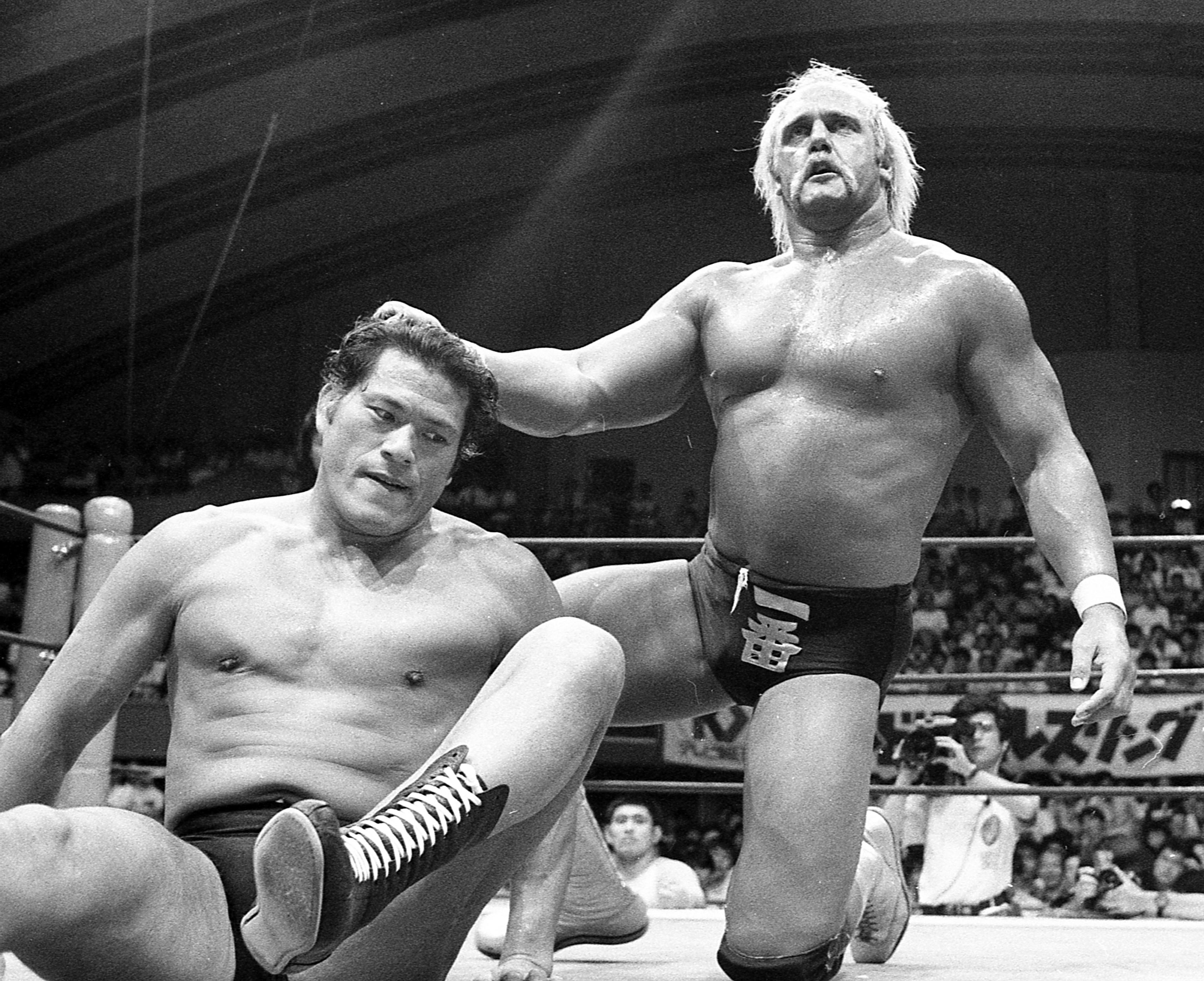 ハルク・ホーガン ポピー スーパープロレスラー 当時物 ハルク・ホーガン ポピー スーパープロレスラー 当時物 - メルカリ