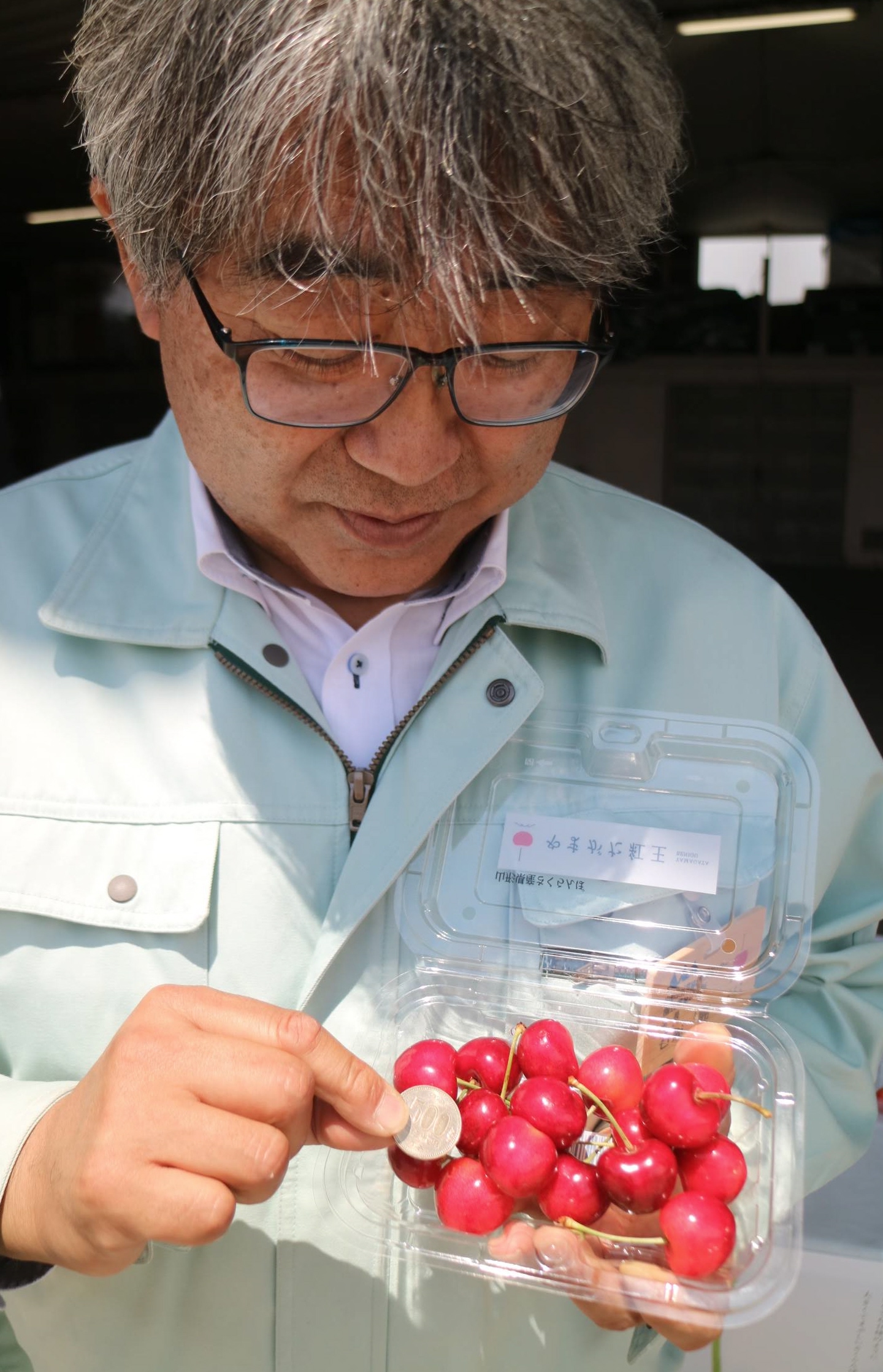 大玉品種の次世代サクランボ「やまがた紅王」 市場デビュー - 産経ニュース
