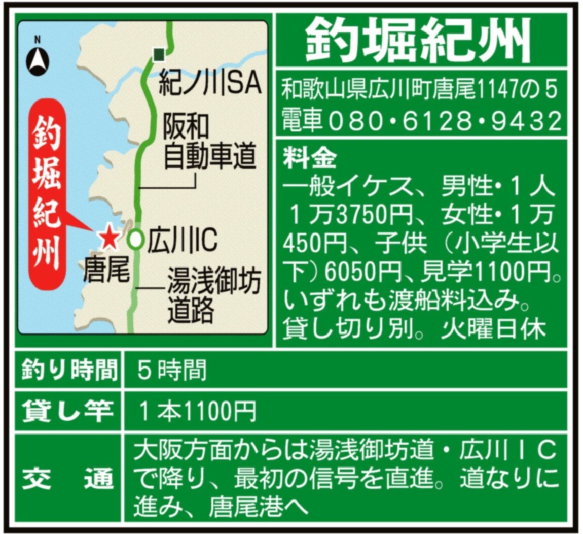 さぁ夏休み 家族で海上釣り堀に行こう 関西フィッシング サンスポ