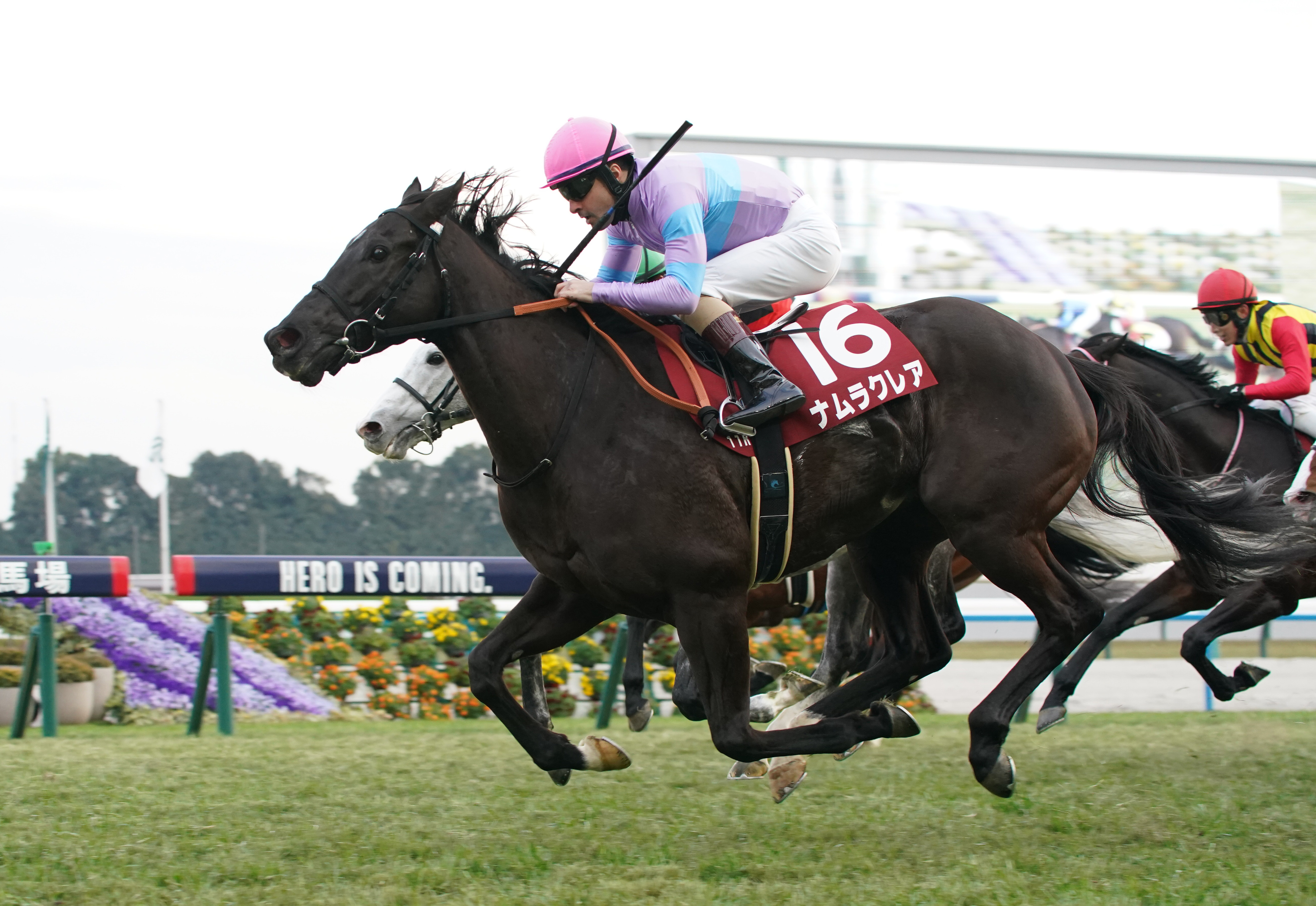 スプリンターズSの注目点】4年連続でGⅠ未勝利馬が勝利 ナムラクレア