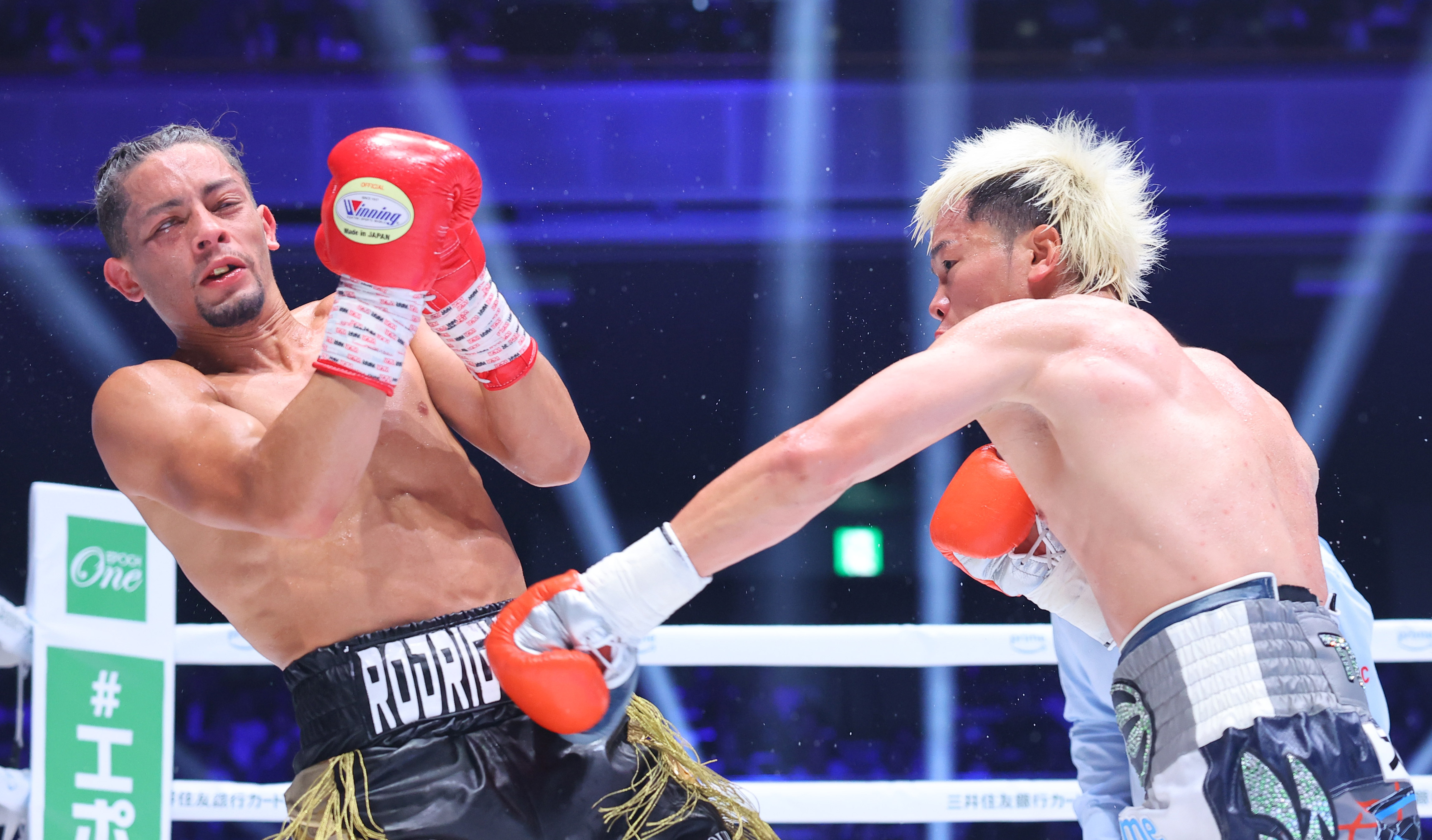 ボクシング】畑山隆則氏、世界王者と比べても引けを取らない「武居と見