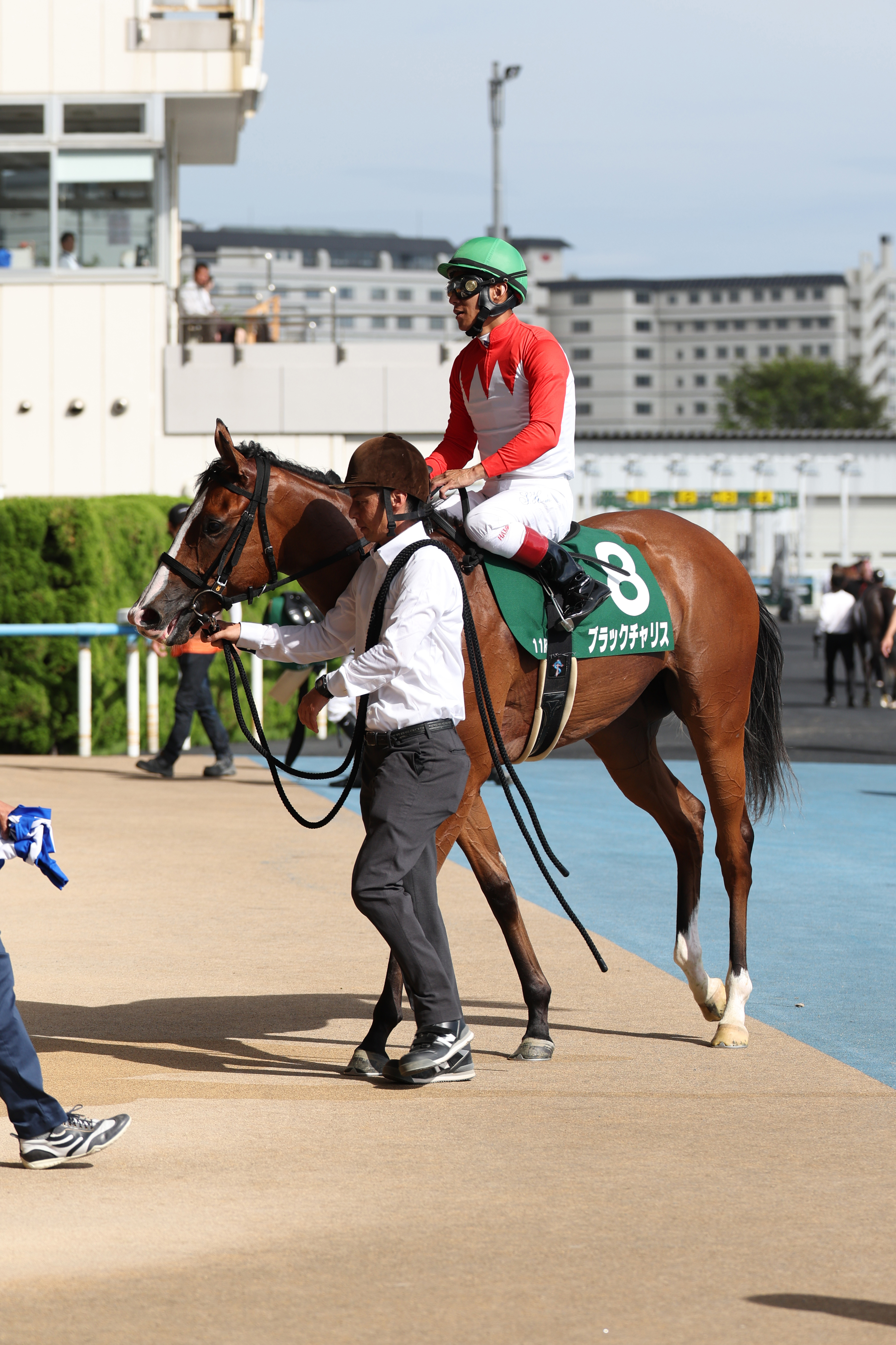 ファンタジーSの注目点】今年も波乱の決着か？ 阪神JFの前哨戦を制すの