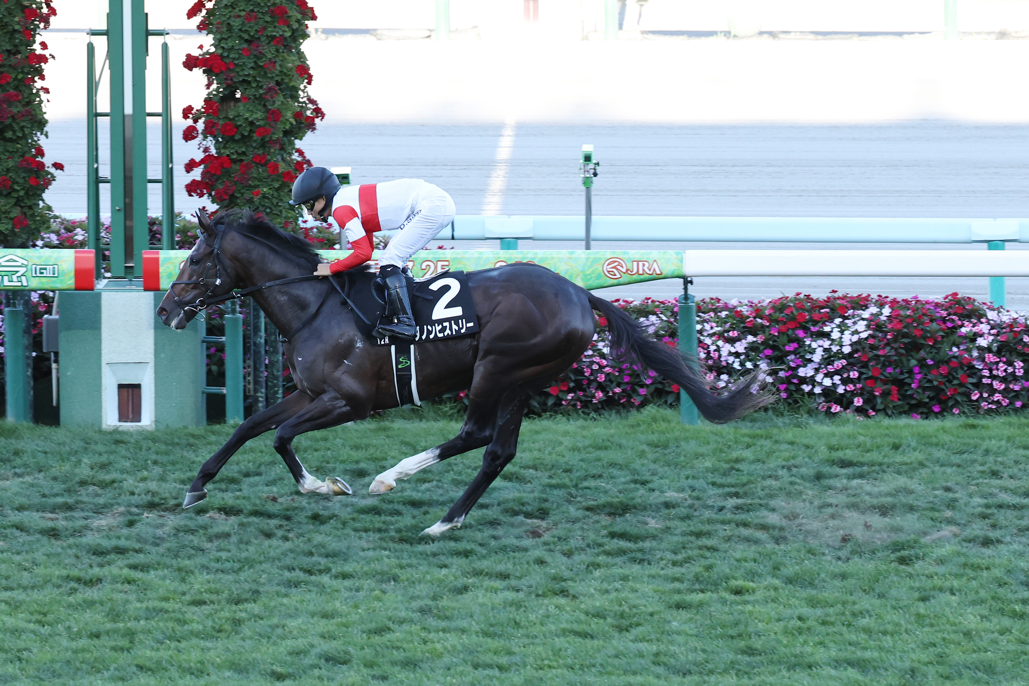 阿寒湖特別】良血ダノンヒストリーが8馬身差V 佐々木騎手「馬の能力が