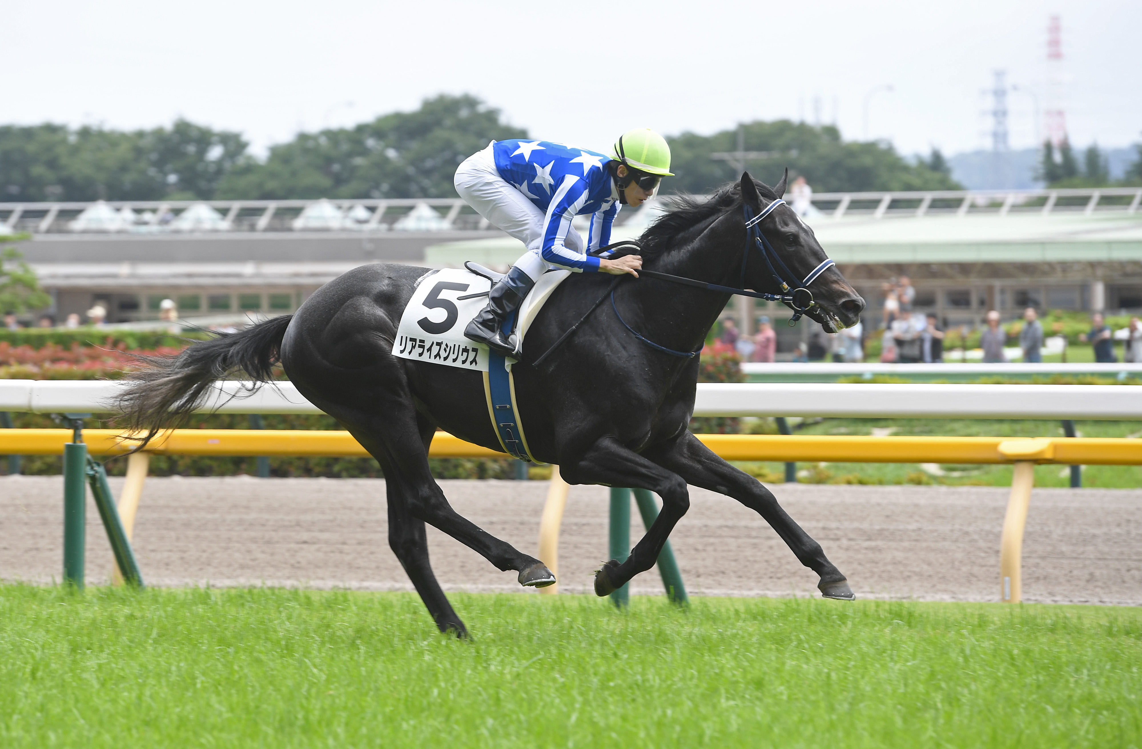 他の方発送× リアリズム　馬の肖像画 シュルレアリスム油絵、馬、マーク、署名、サルバドール ダリ