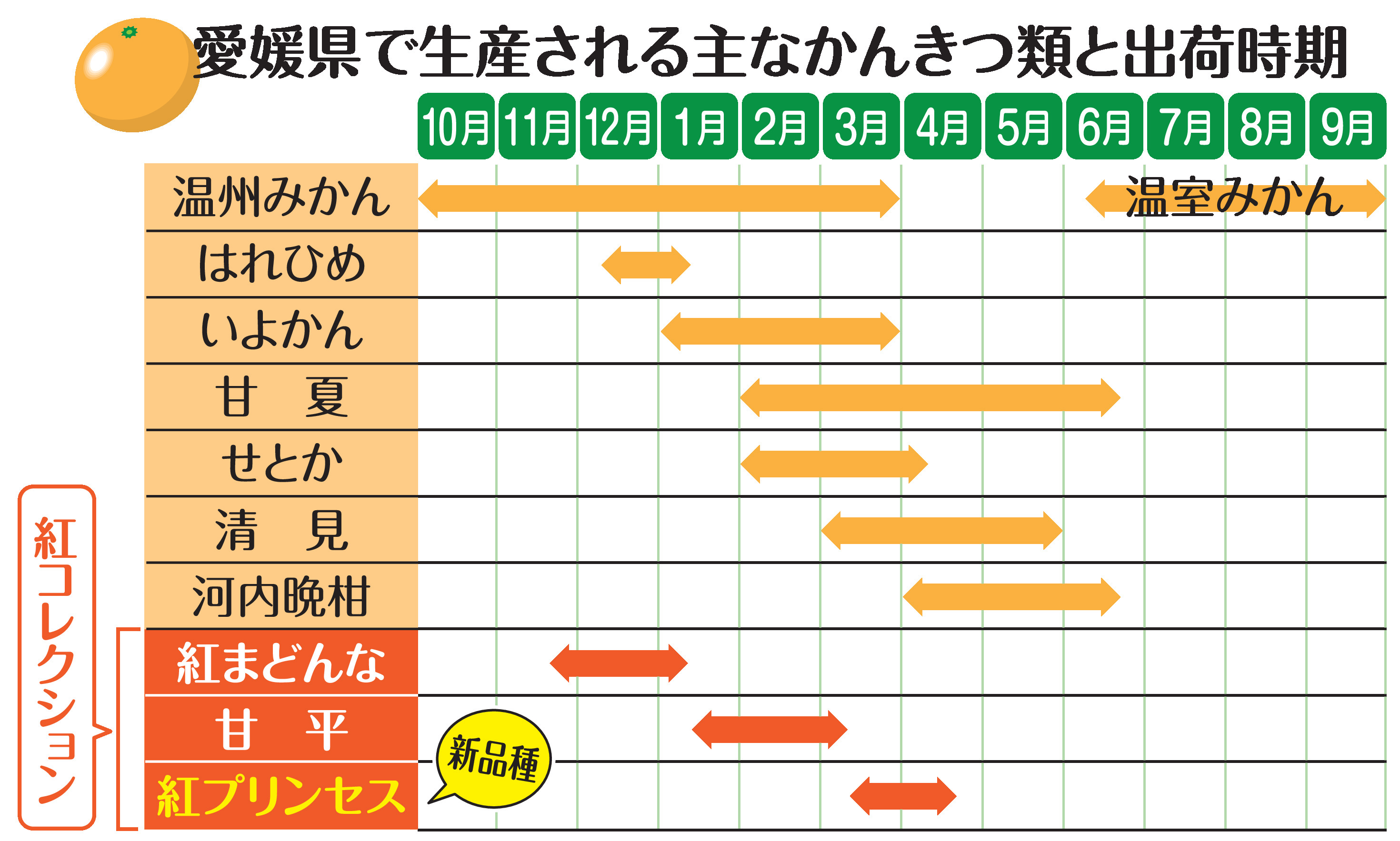 ぺろ様専用 紅ぷりせとか4kg+甘平せとか紅ぷり3kgぐるりん