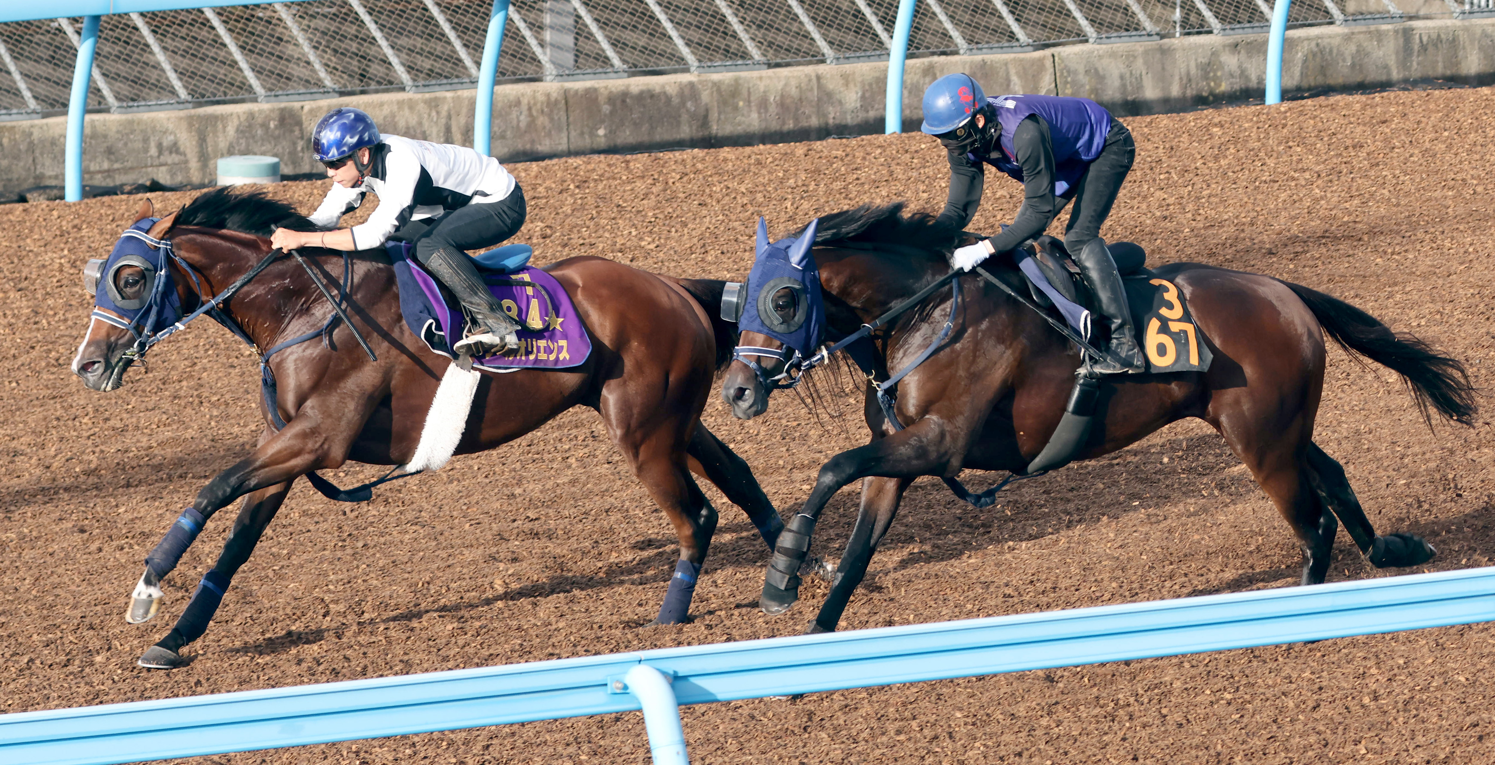 【今週の注目新馬】早期から活躍見込める血統のニエキヤ