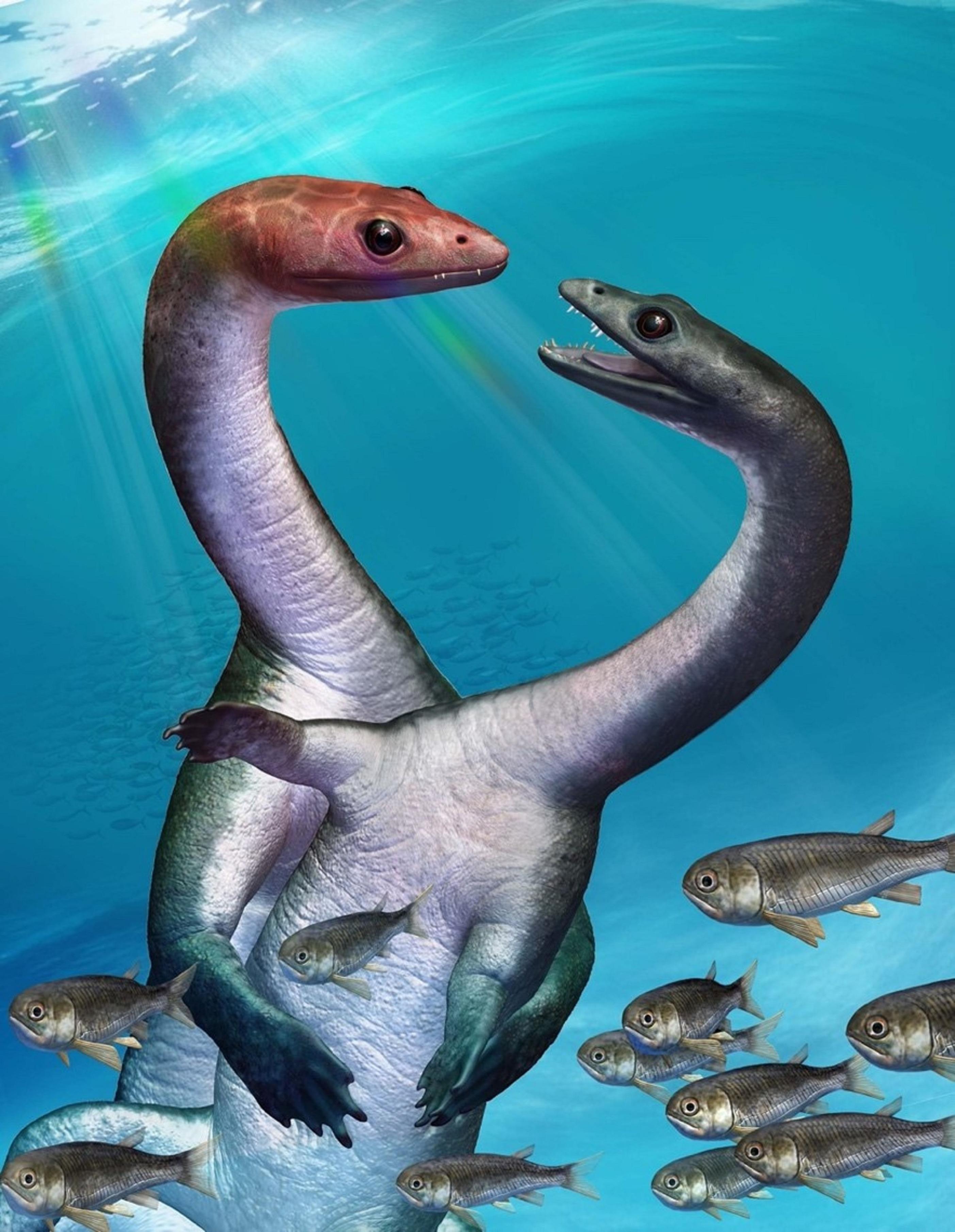 ケイチョウサウルス 化石 - インテリア小物